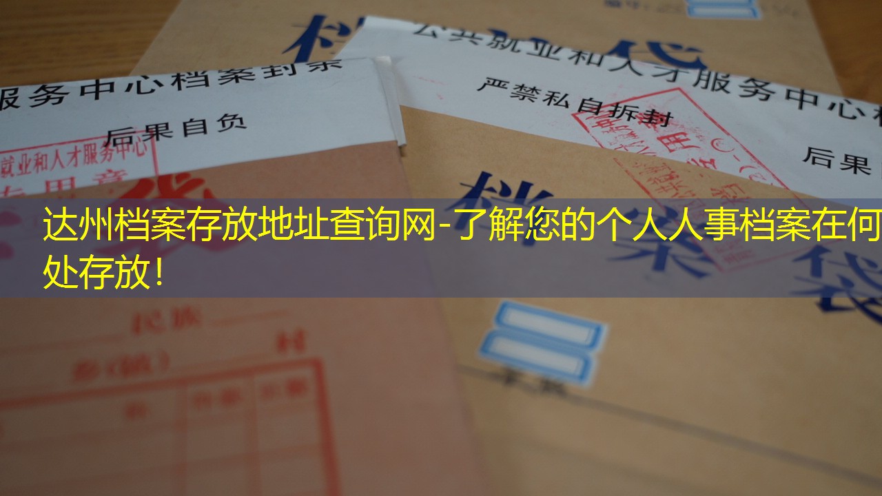 档案查询