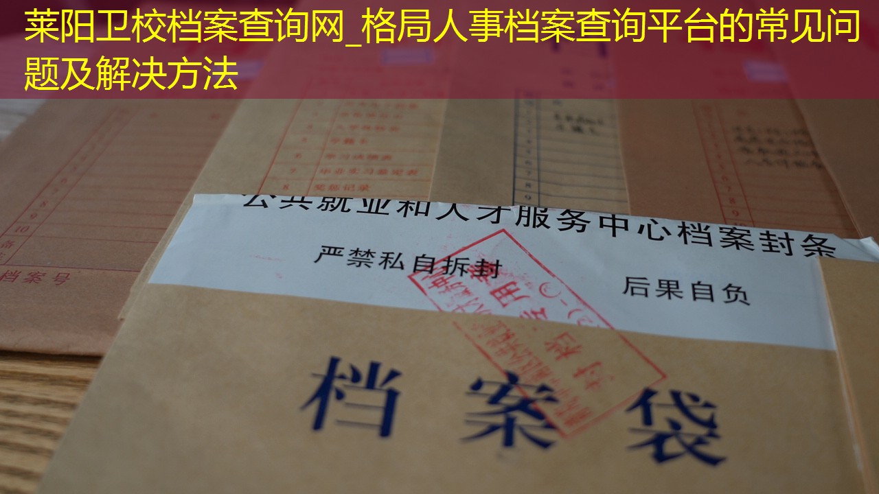档案查询