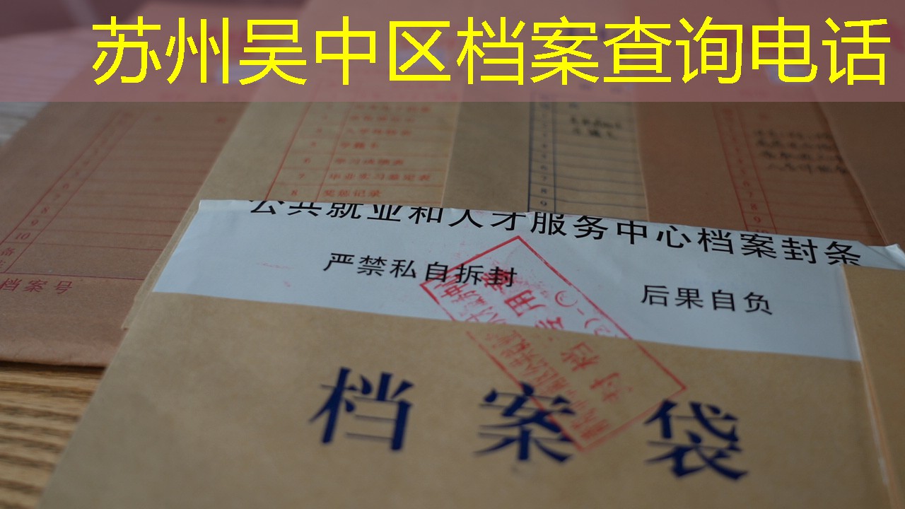 档案查询