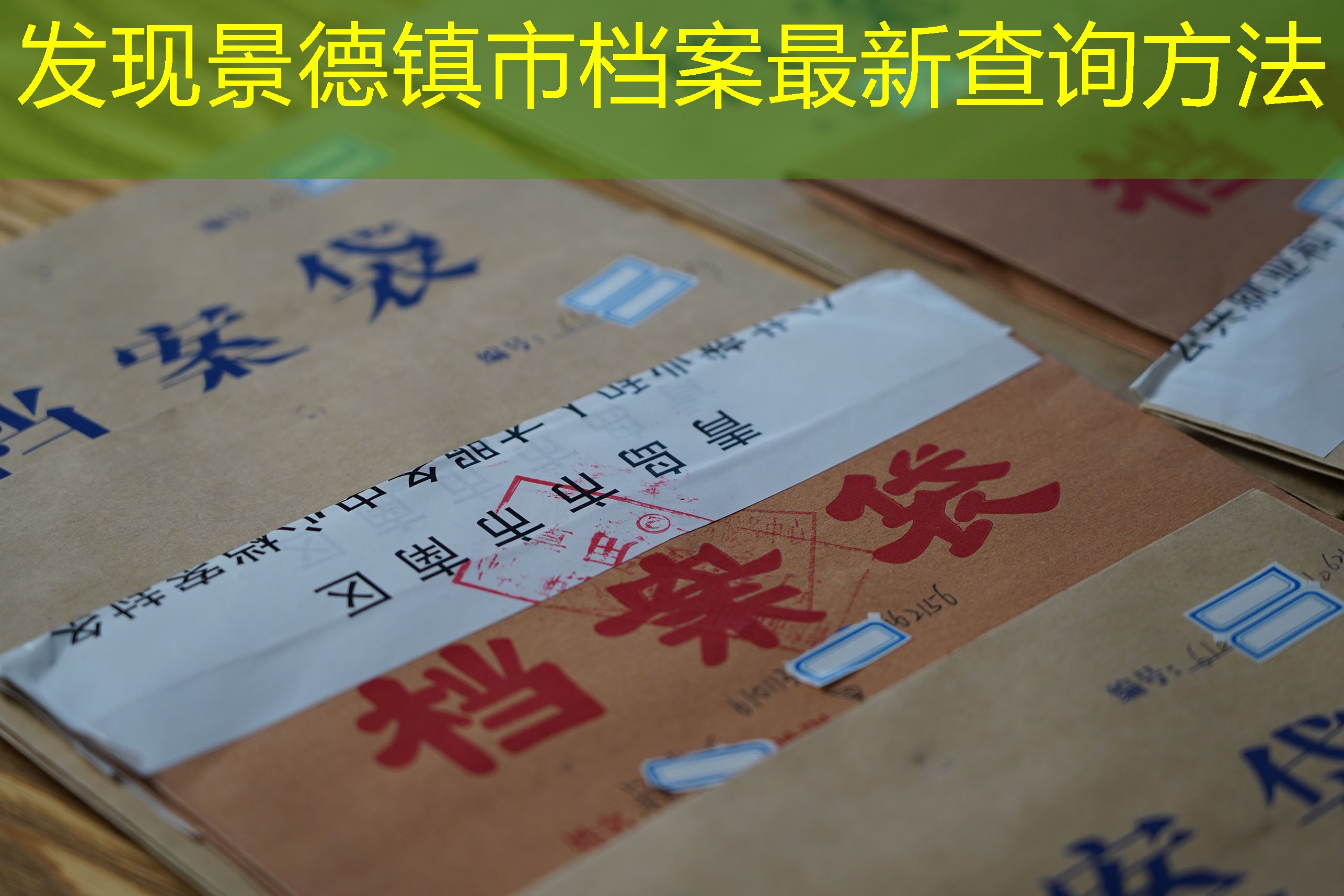 档案查询