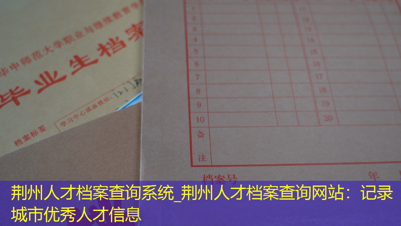 档案查询