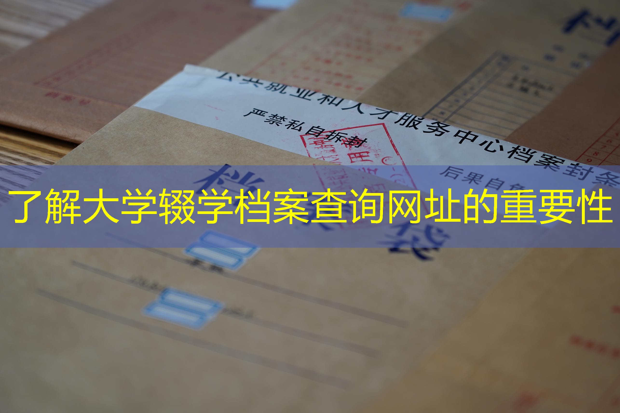 档案查询