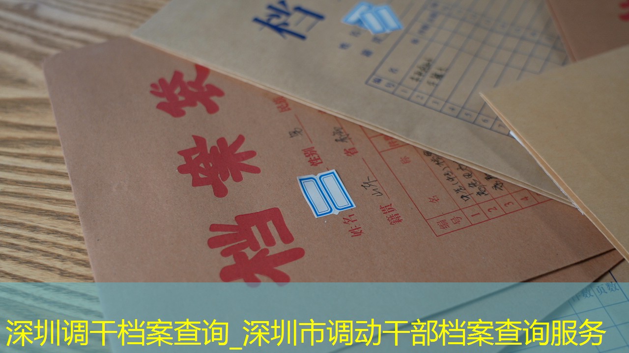 档案查询