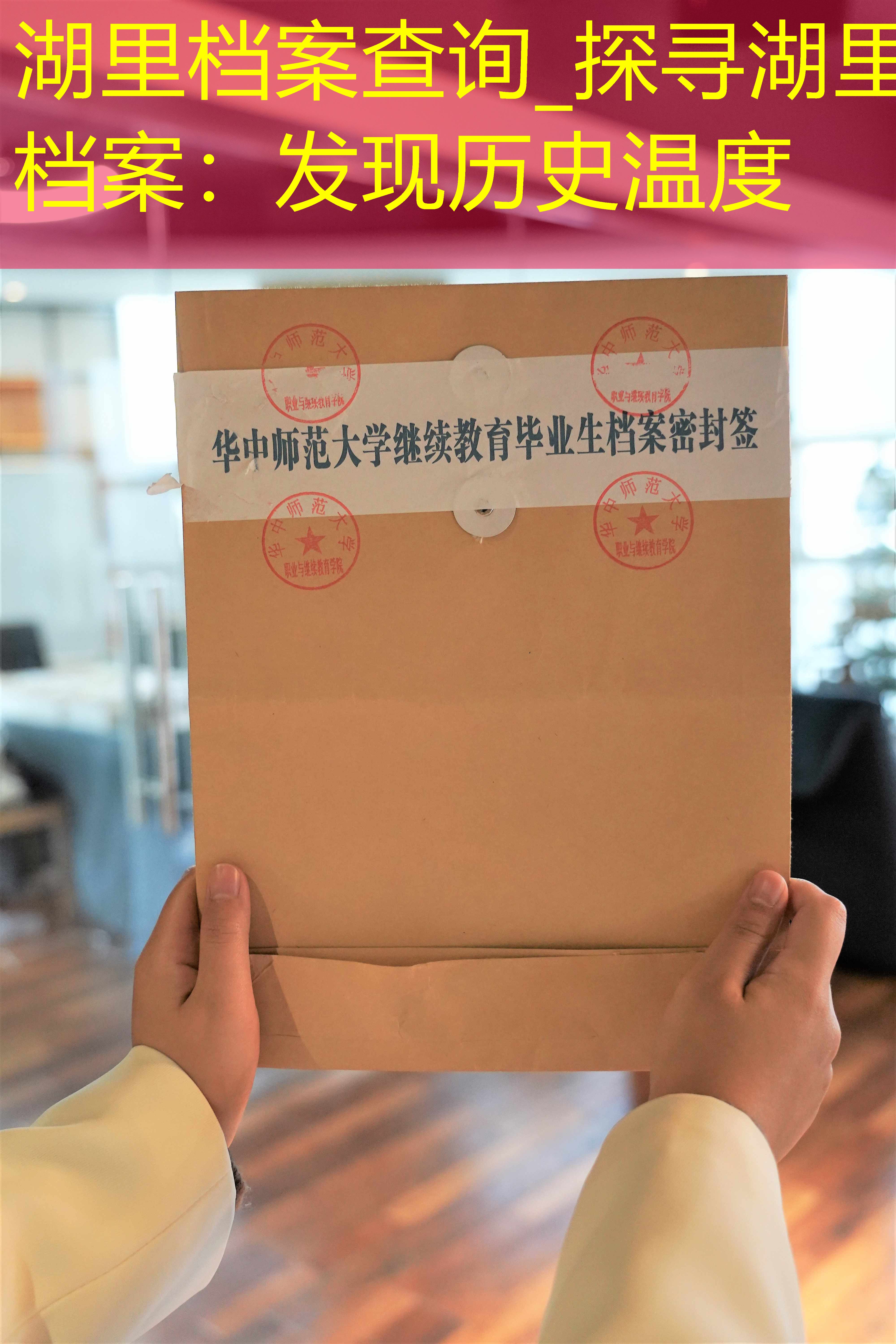 档案查询