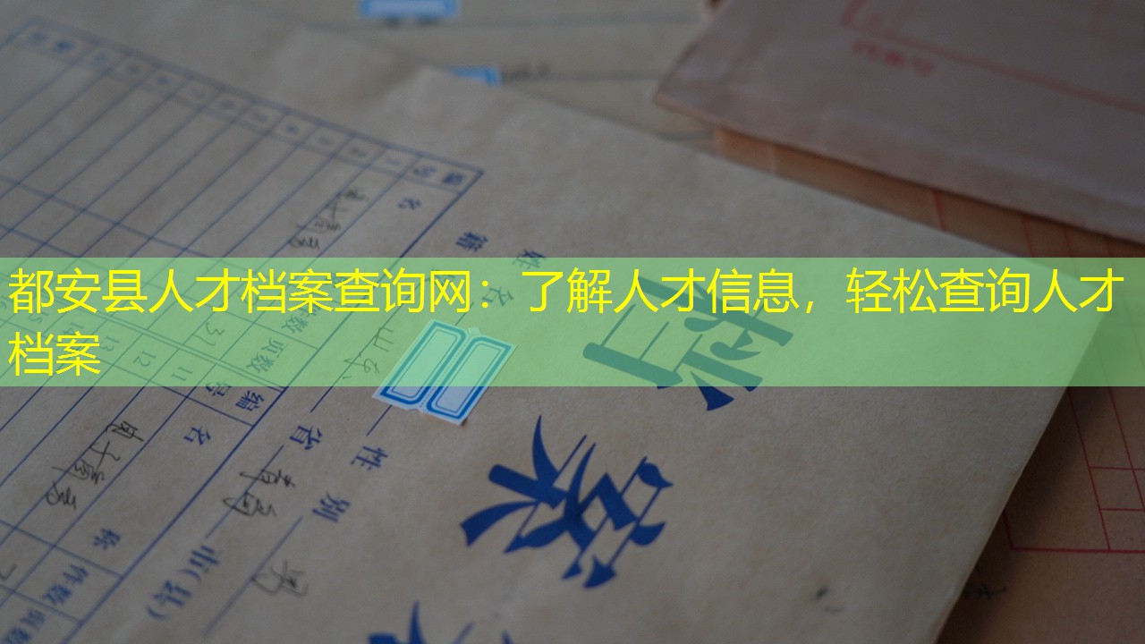 档案查询