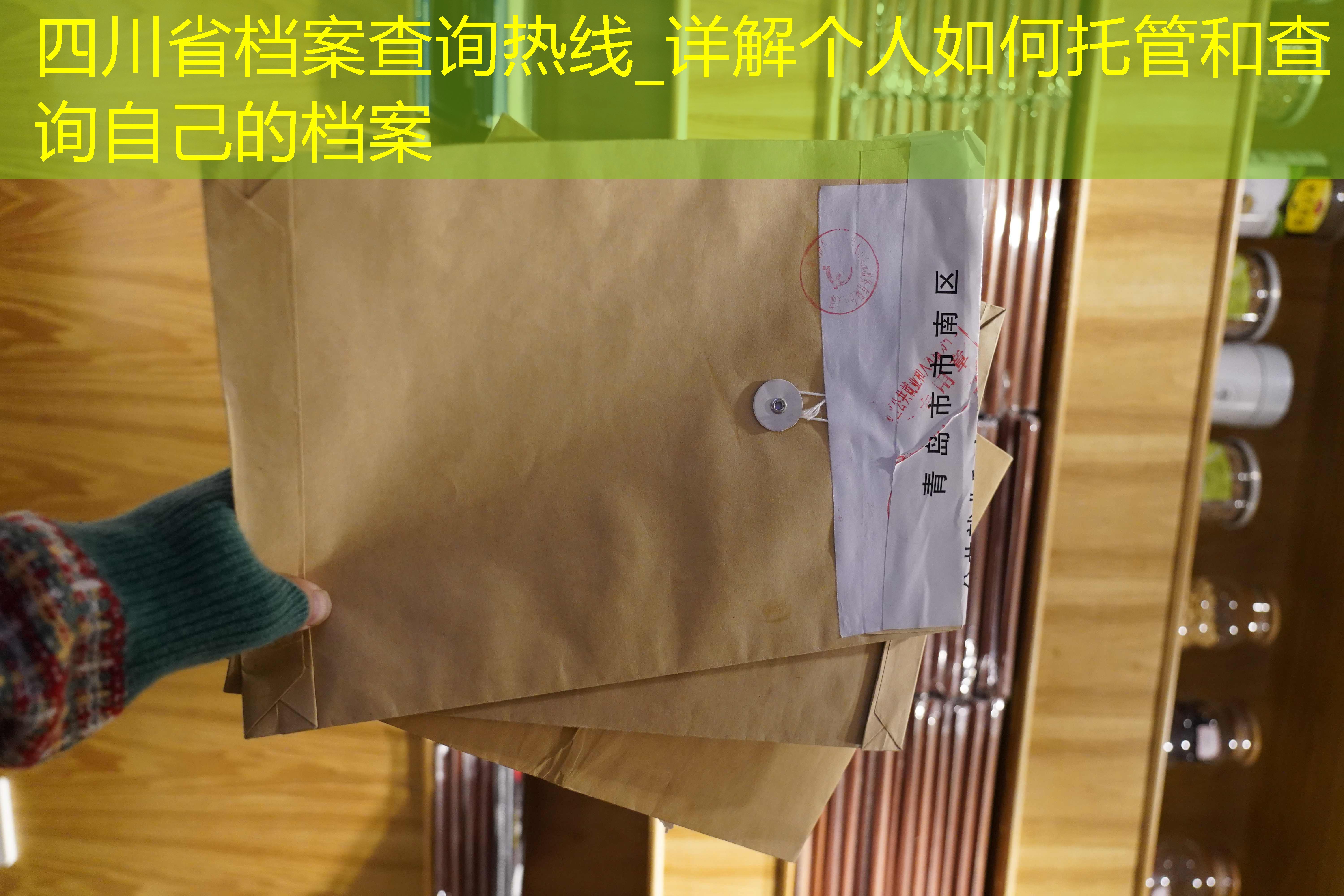 档案查询