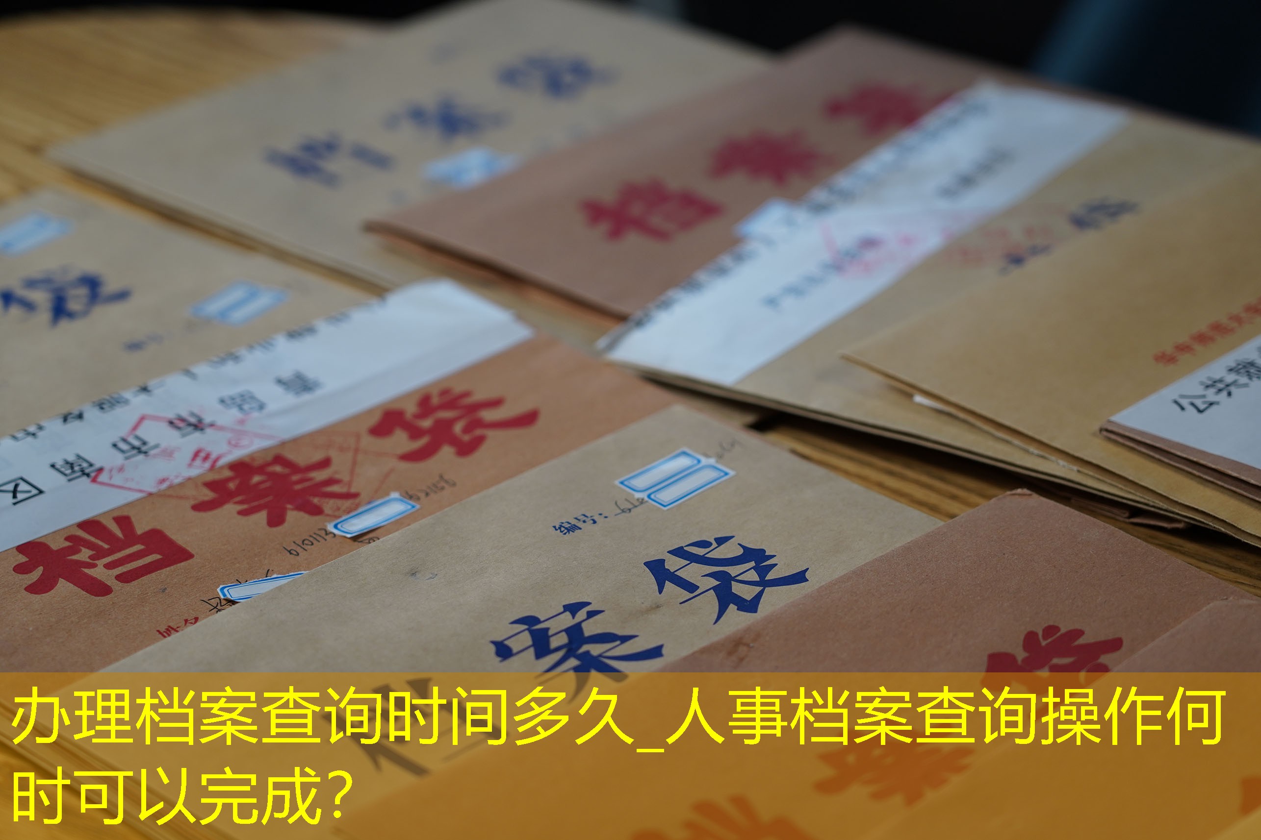 档案查询