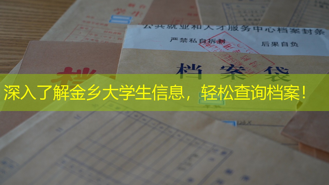 档案查询
