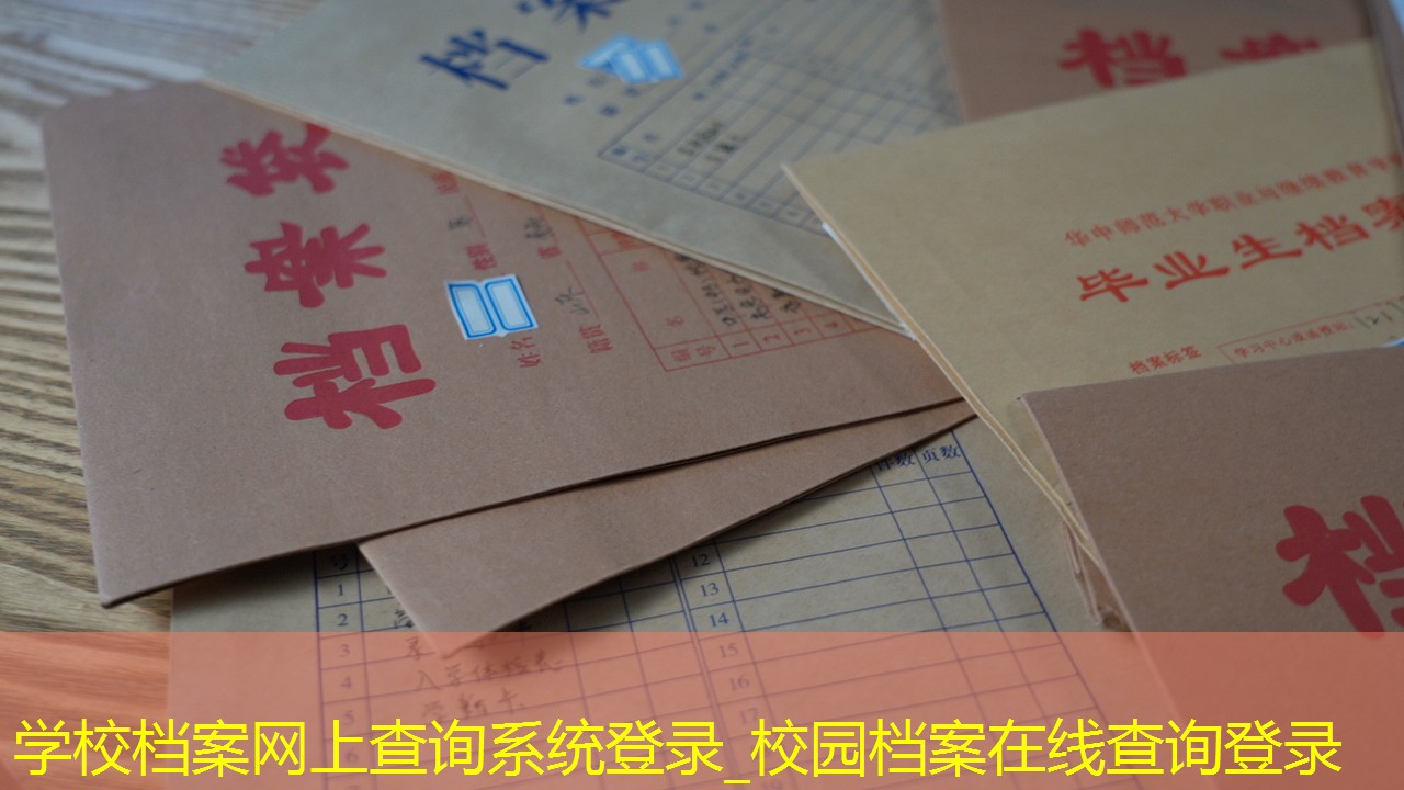 档案查询