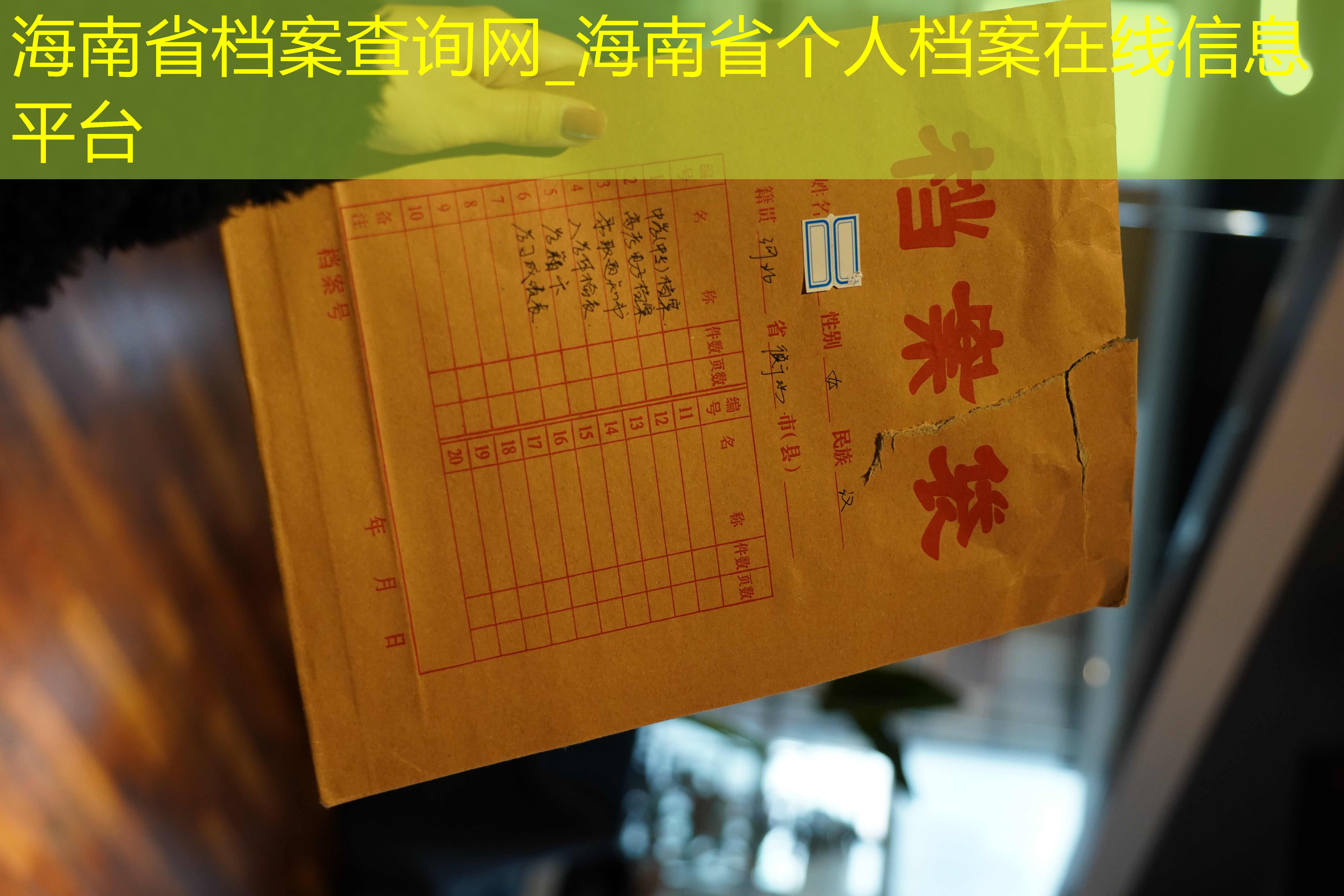 档案查询