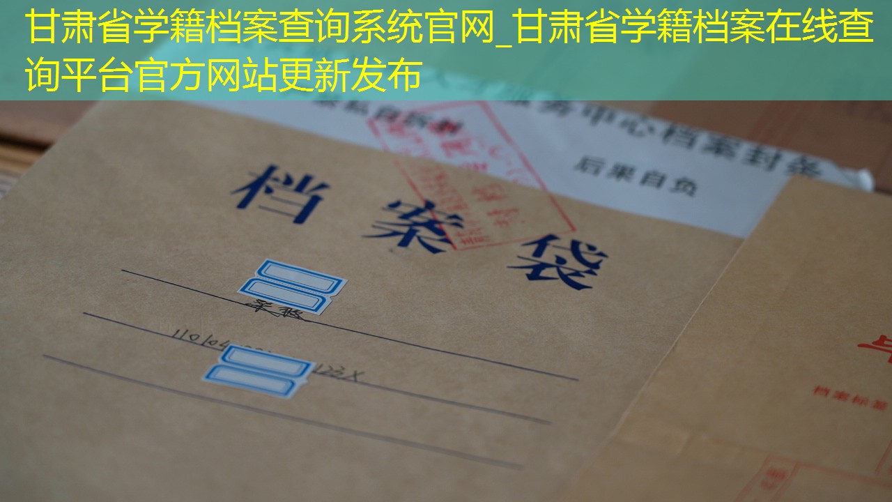 档案查询
