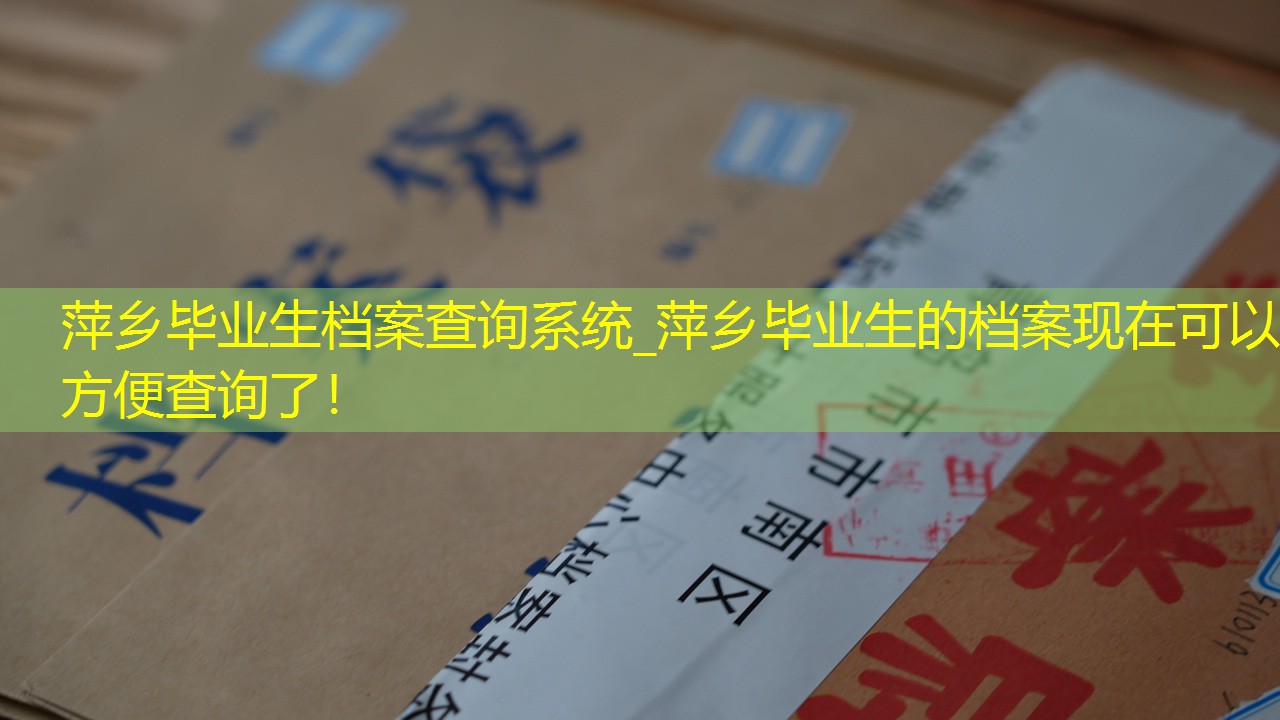 档案查询