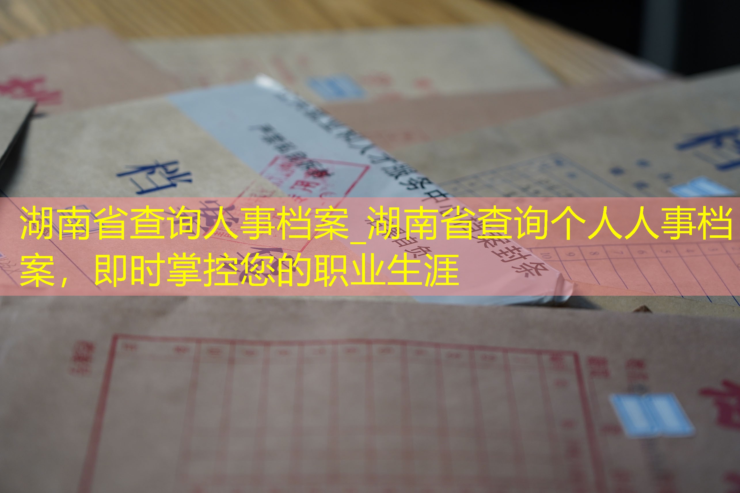 档案查询
