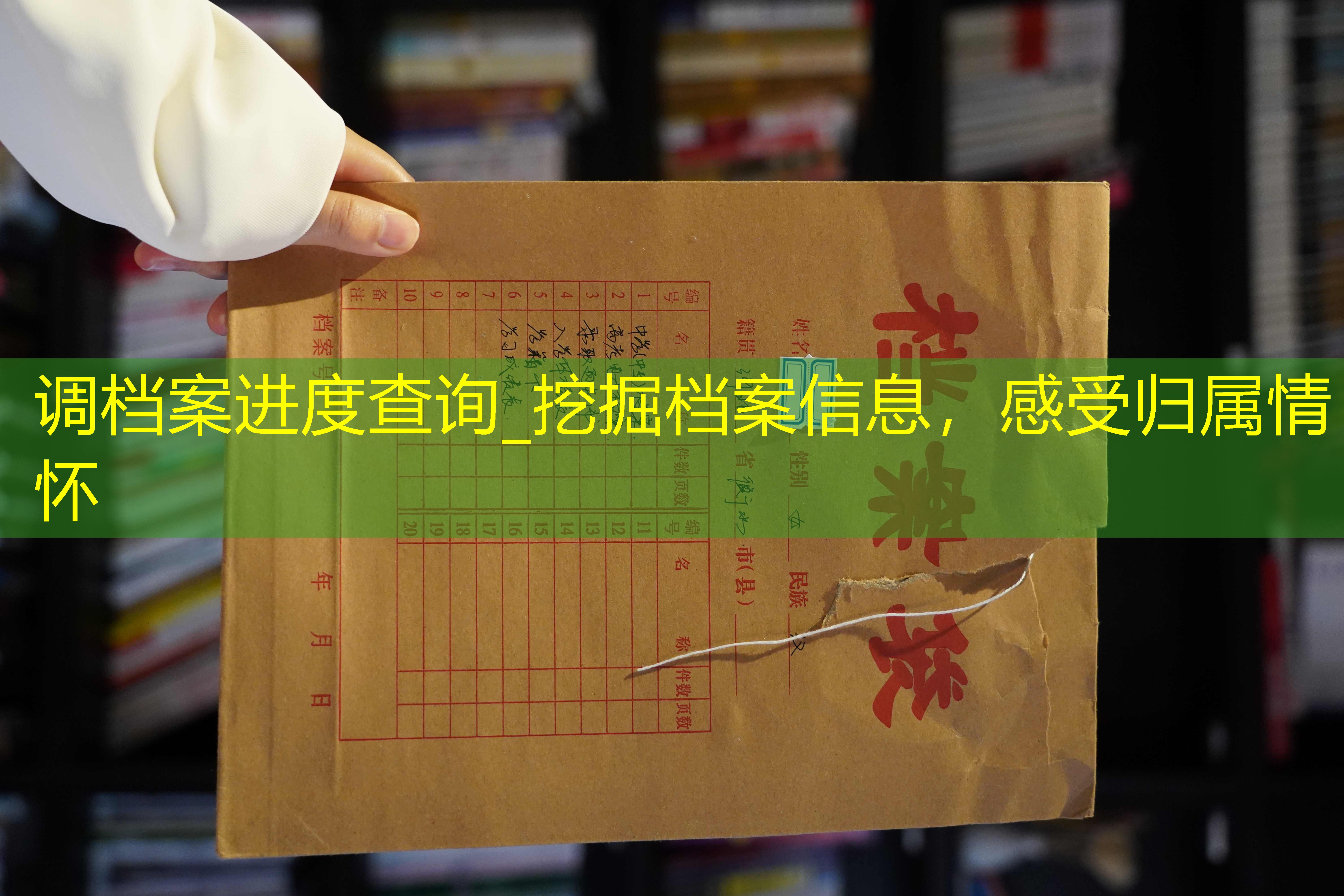档案查询