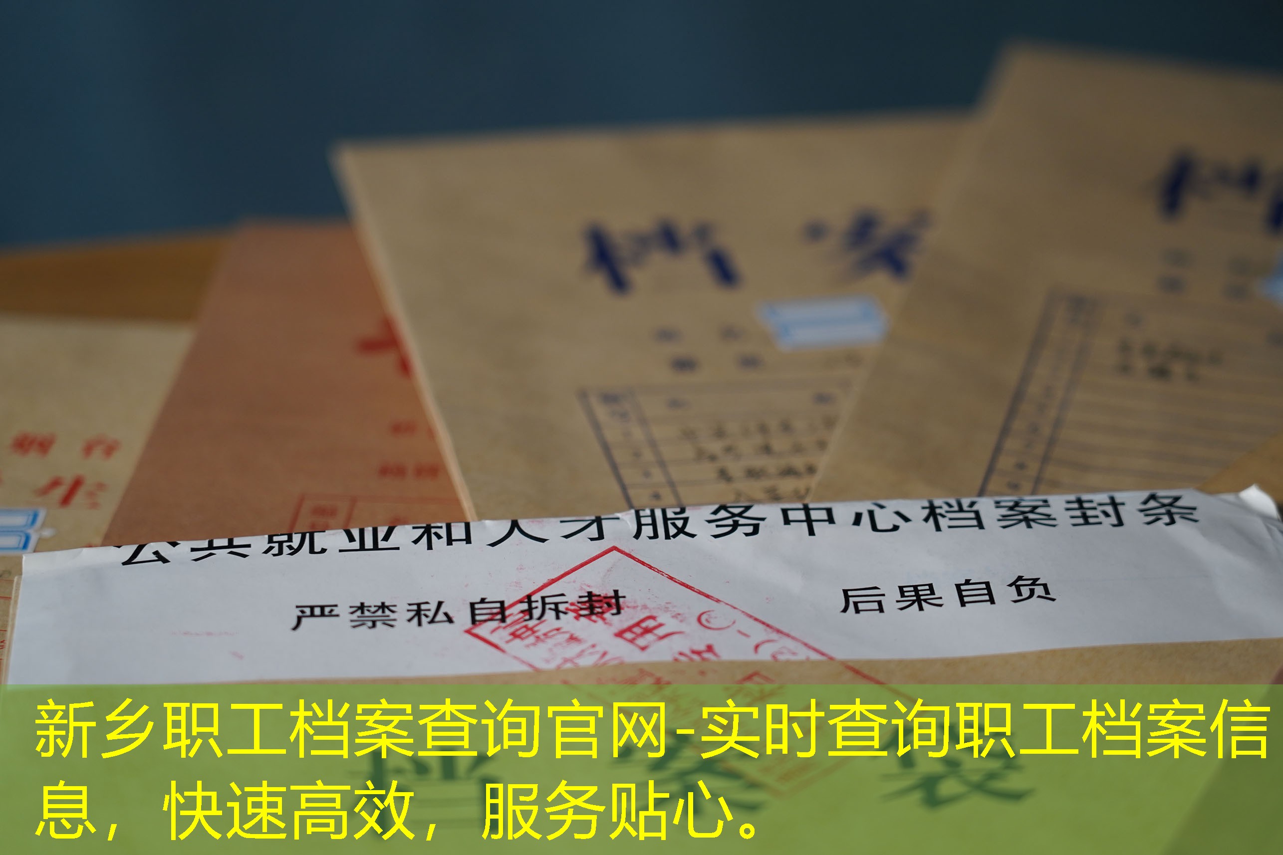 档案查询