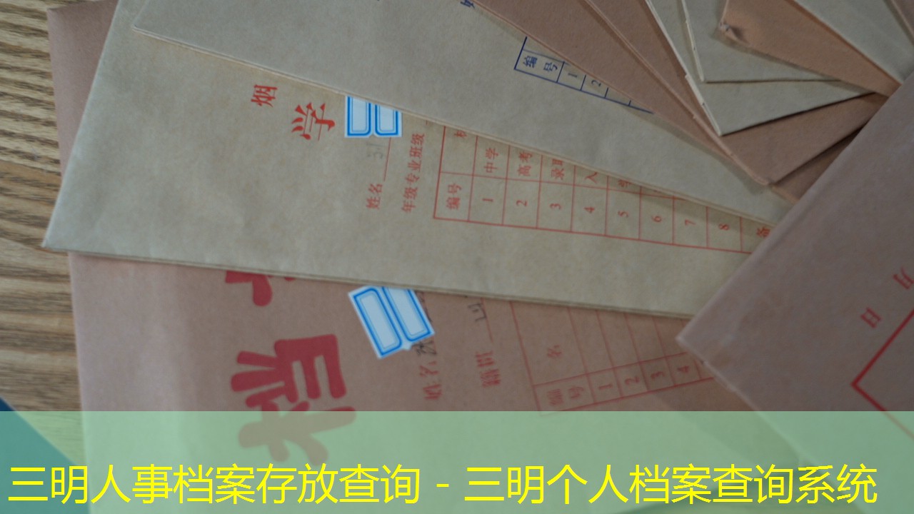 档案查询