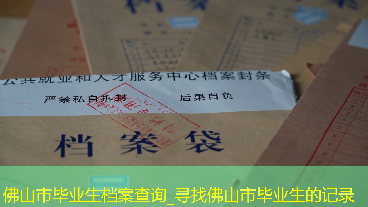档案查询