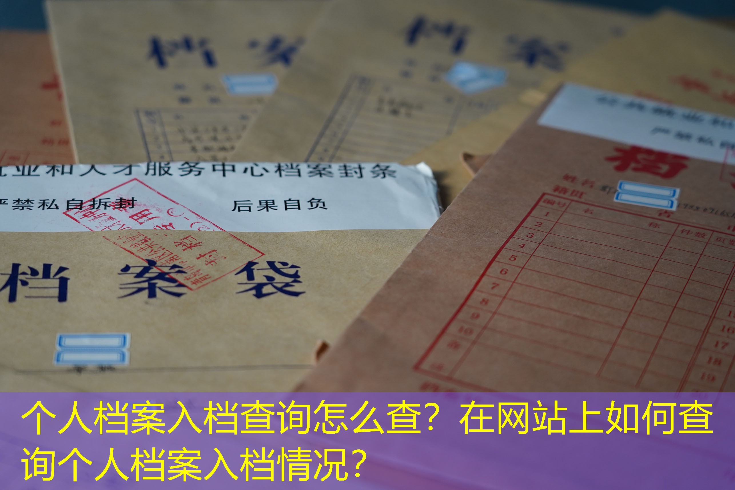 档案查询