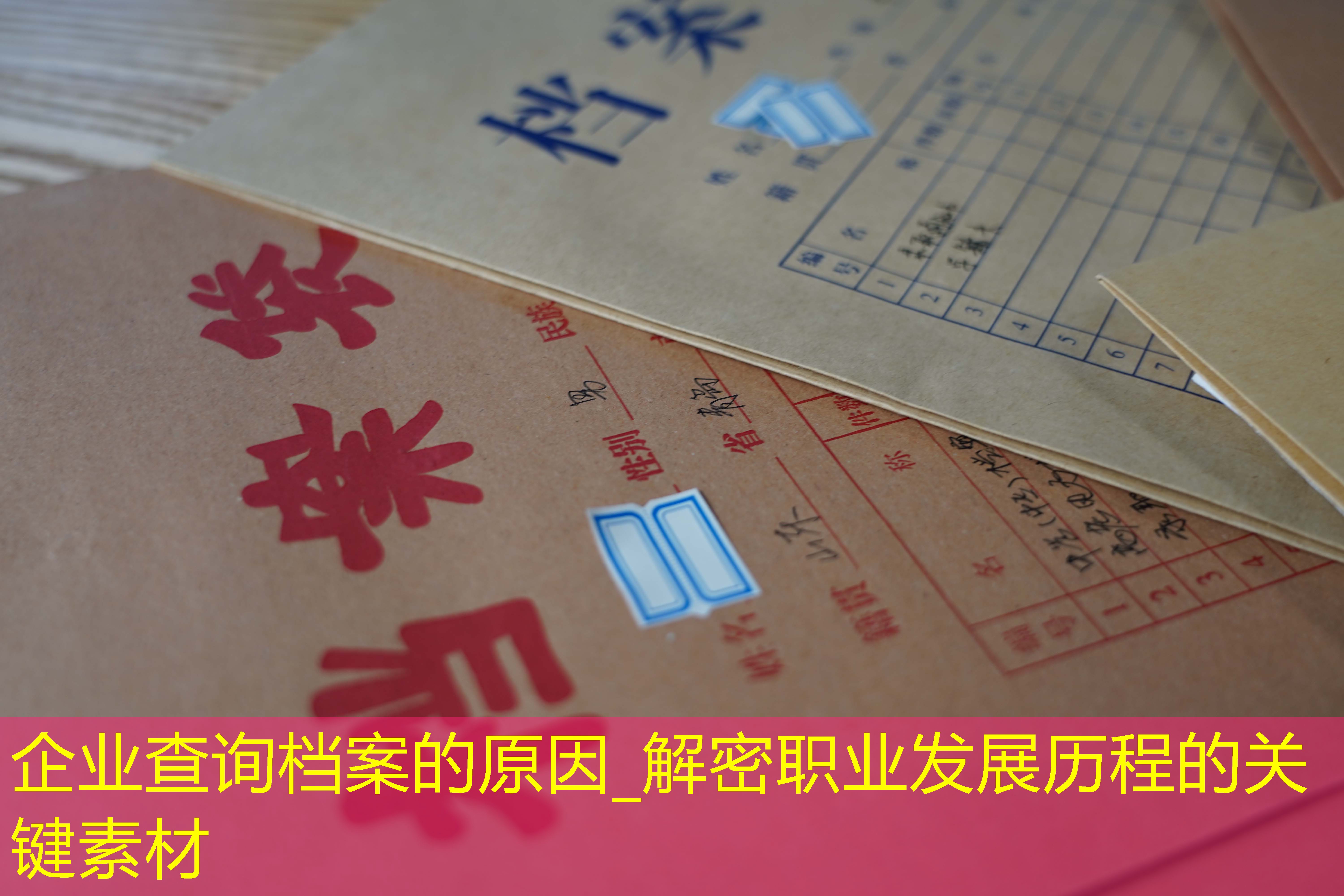 档案查询