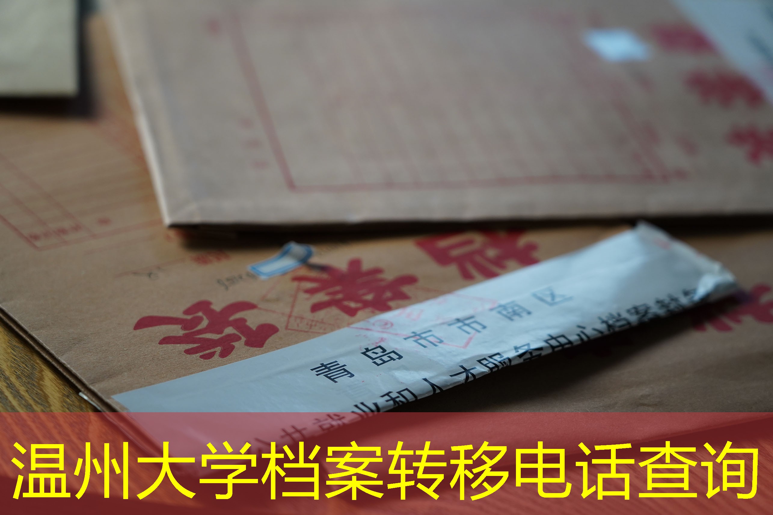 档案查询