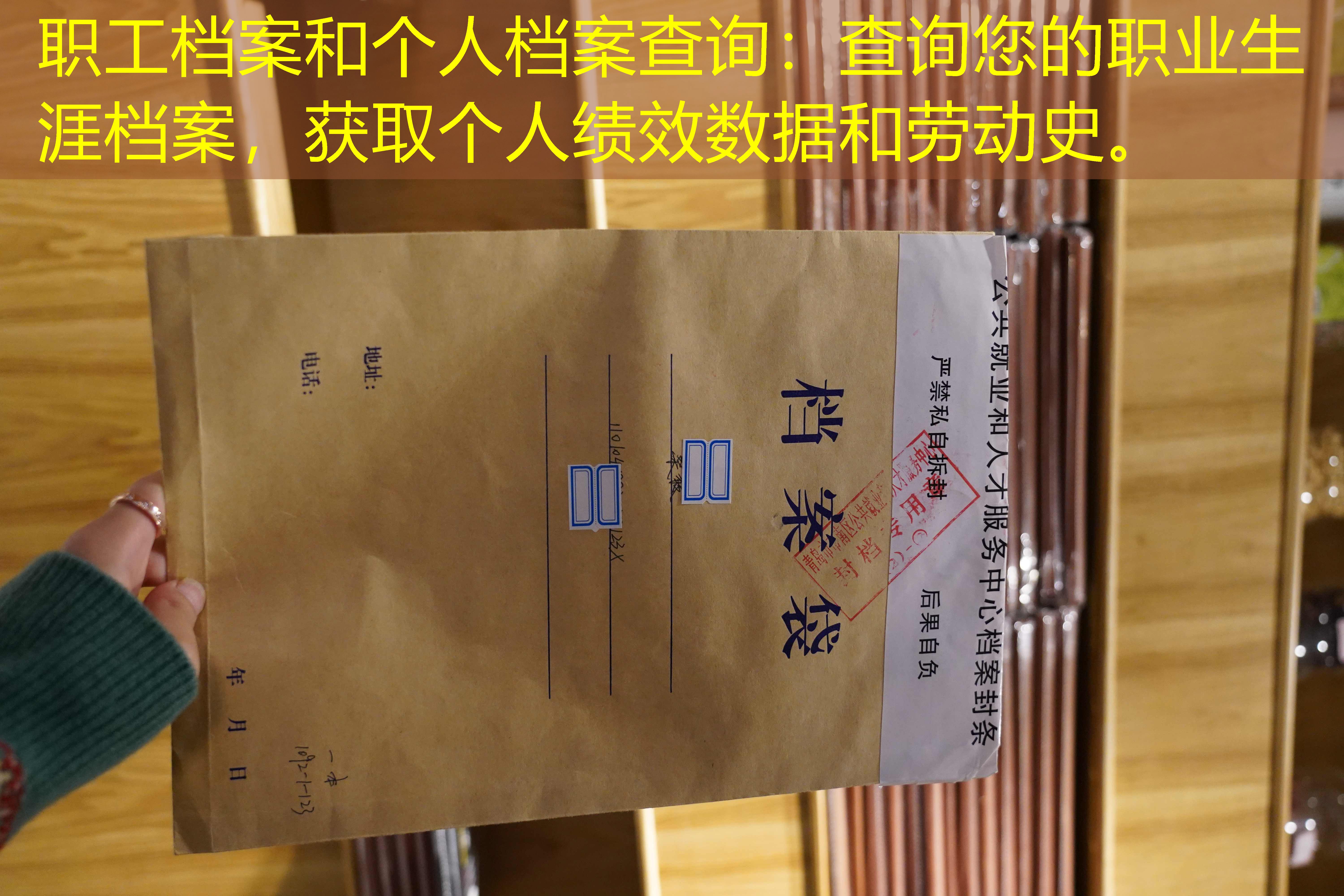 档案查询