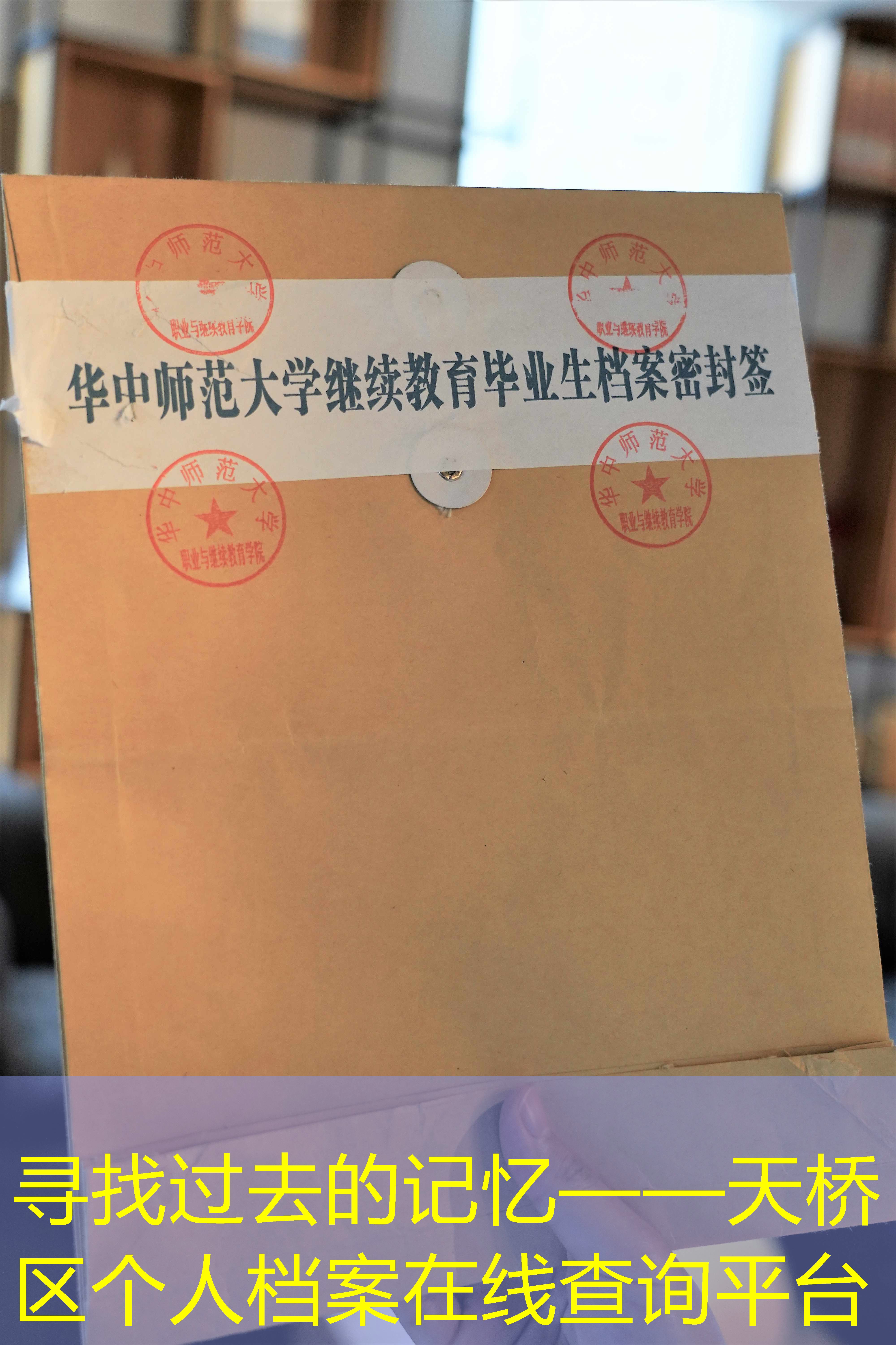 档案查询