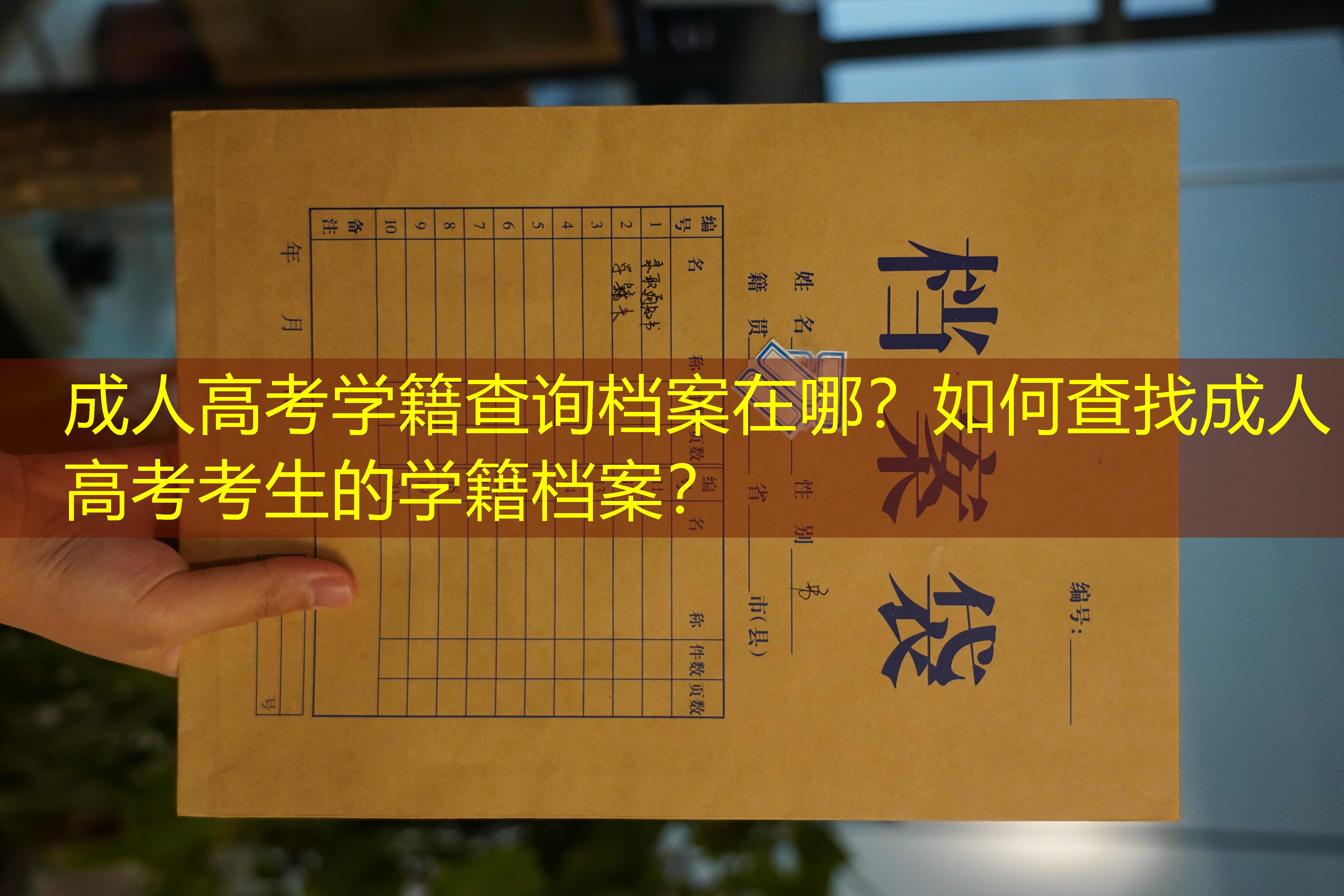 档案查询
