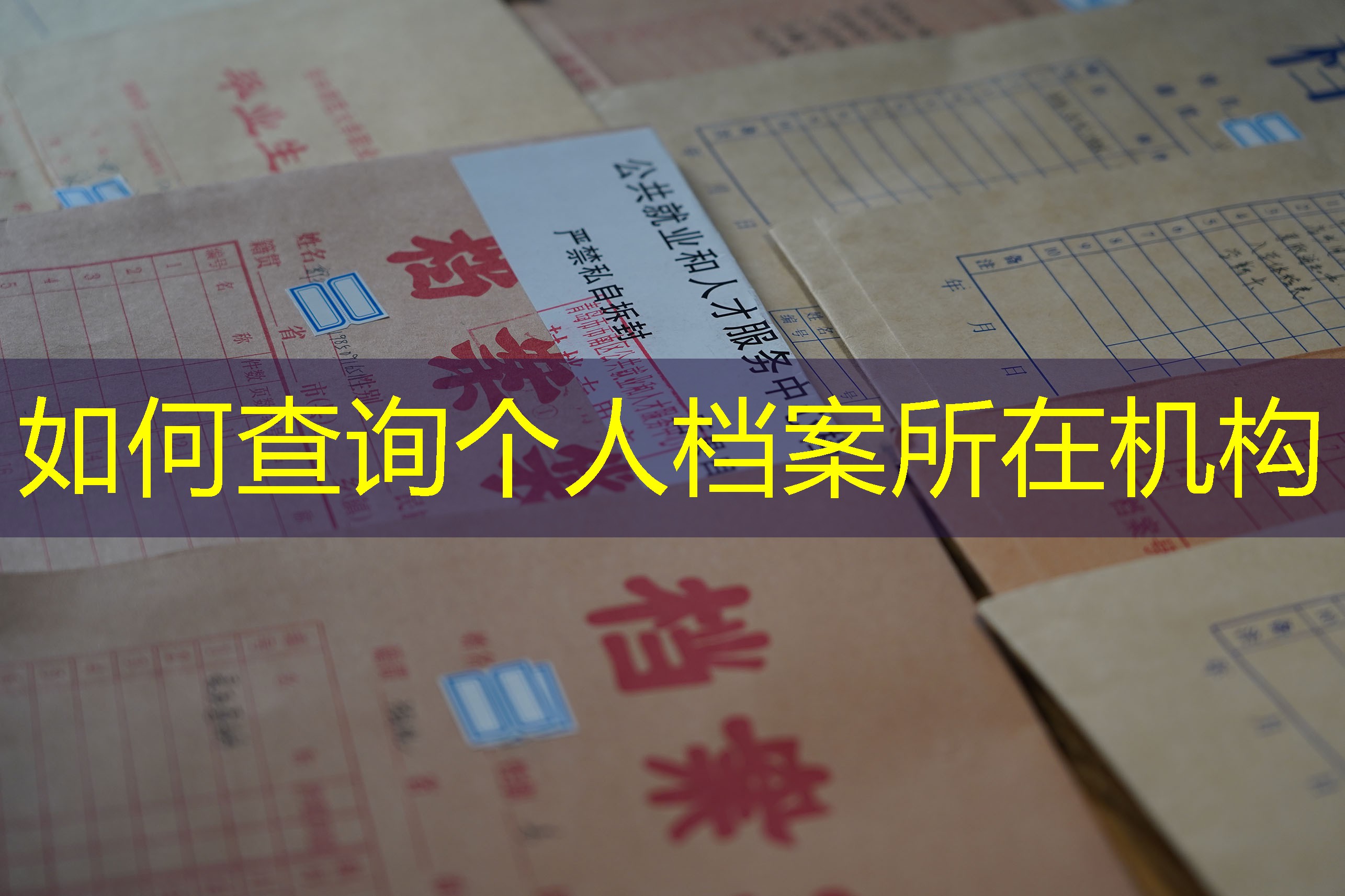 档案查询