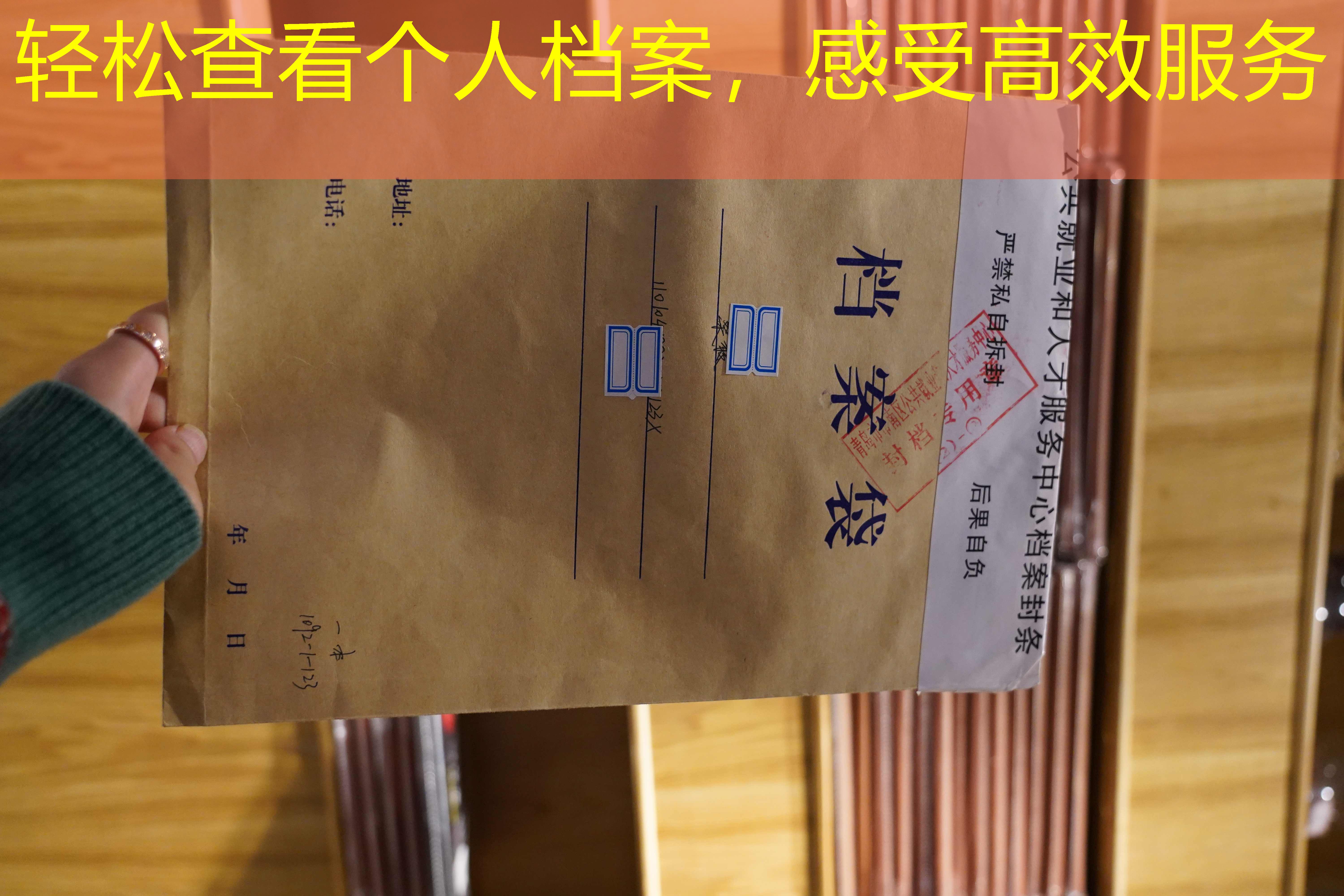 档案查询