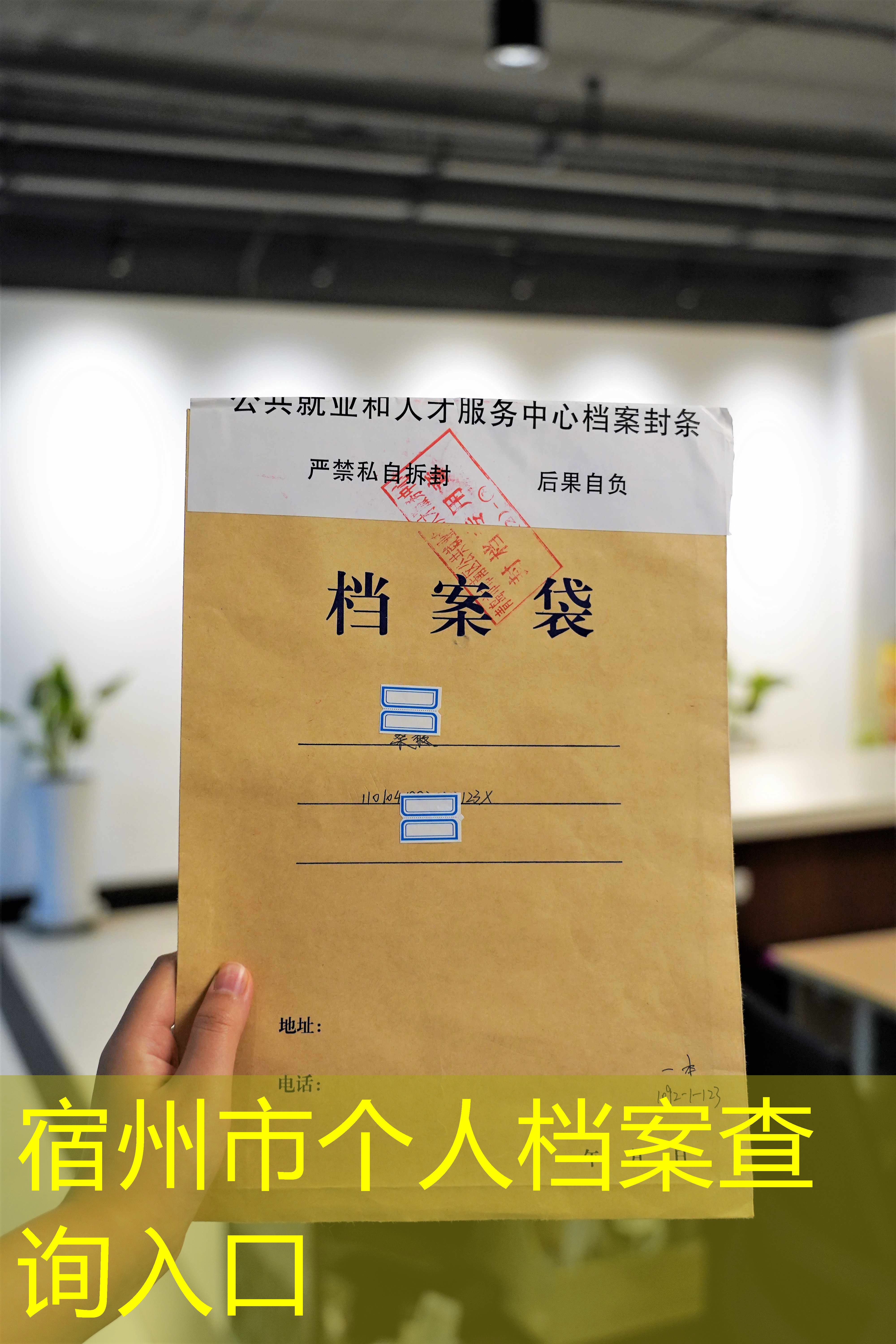 档案查询
