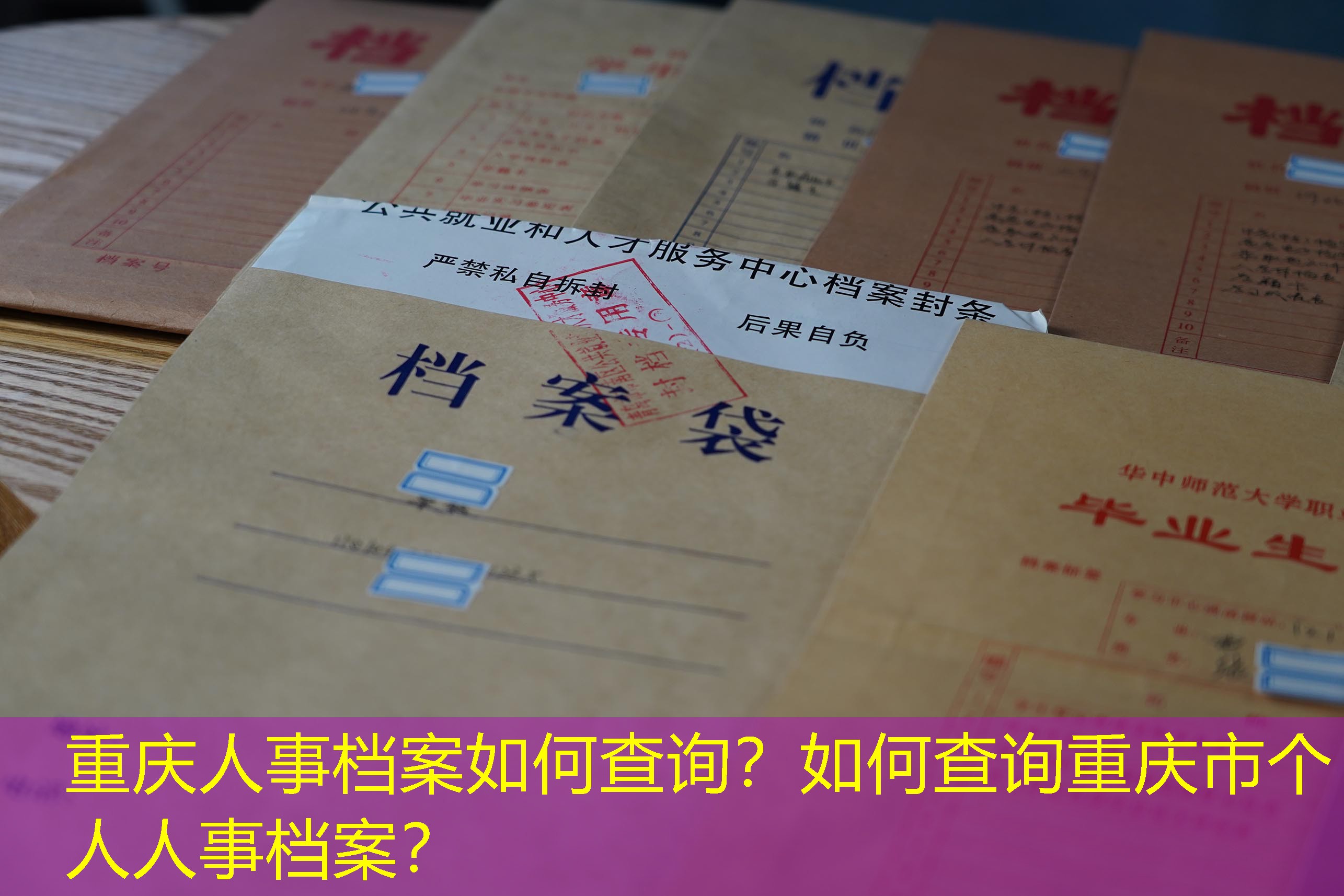 档案查询