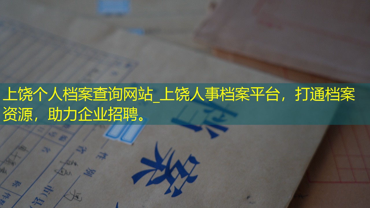 档案查询