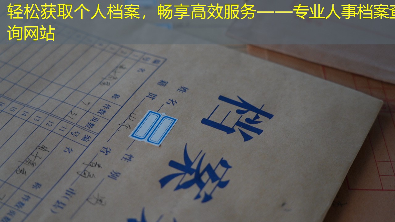 档案查询