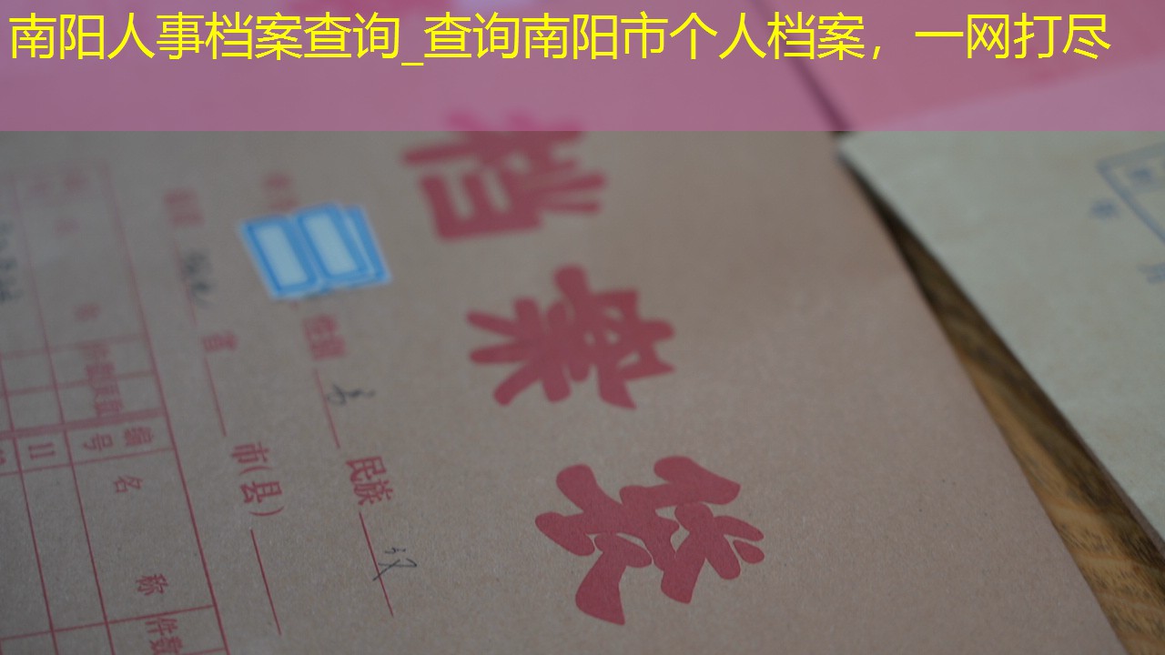 档案查询