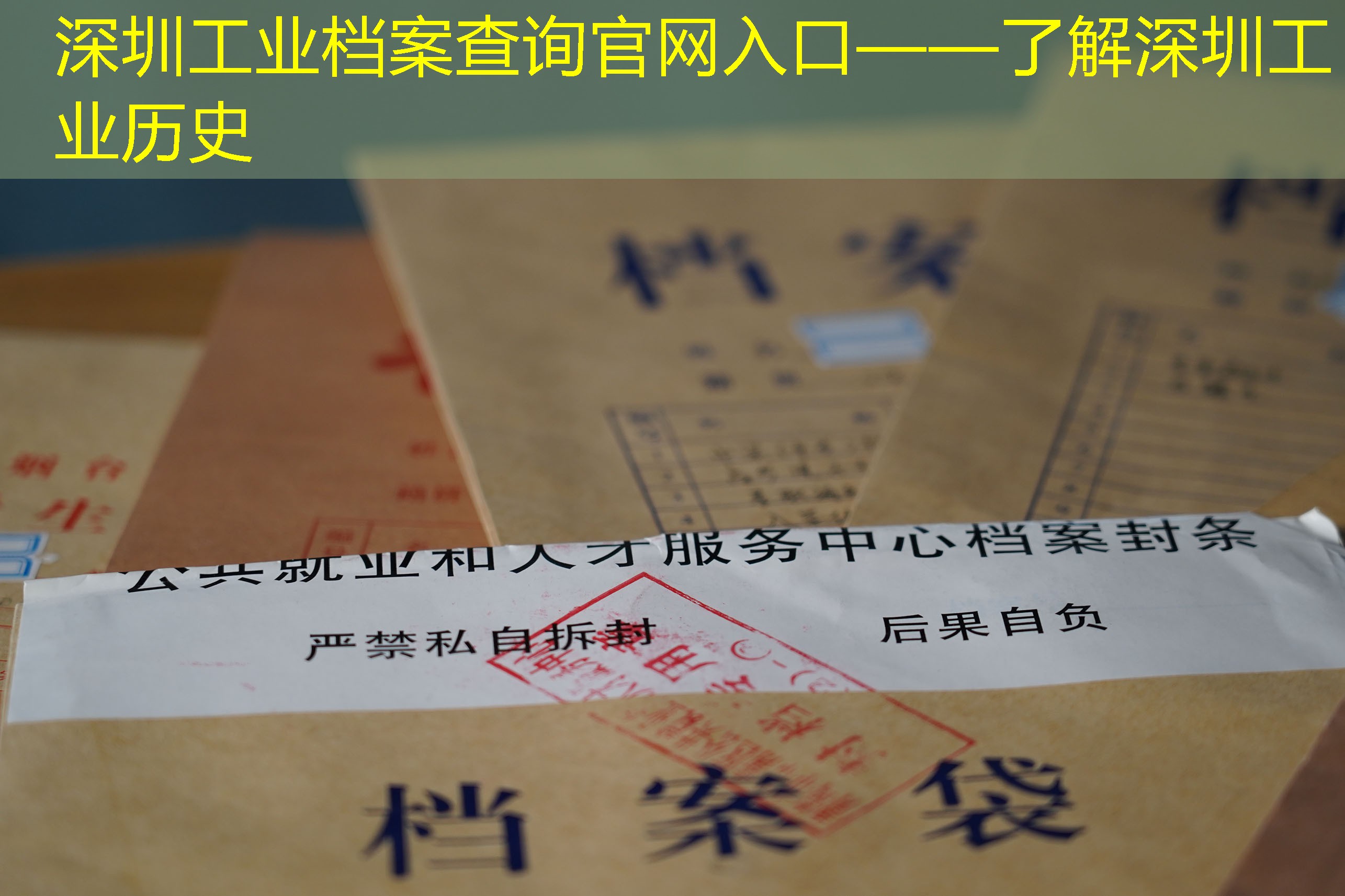 档案查询