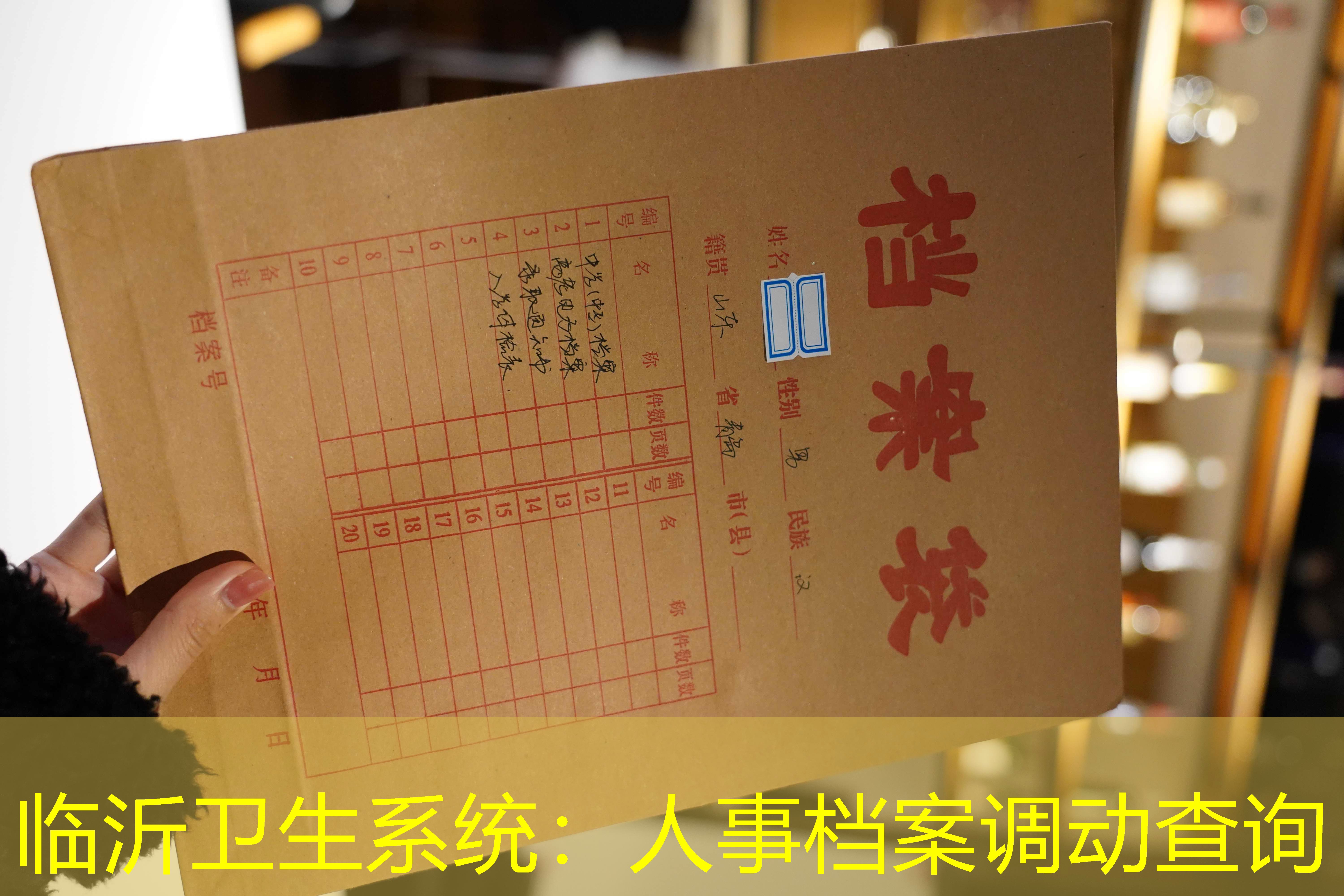 档案查询