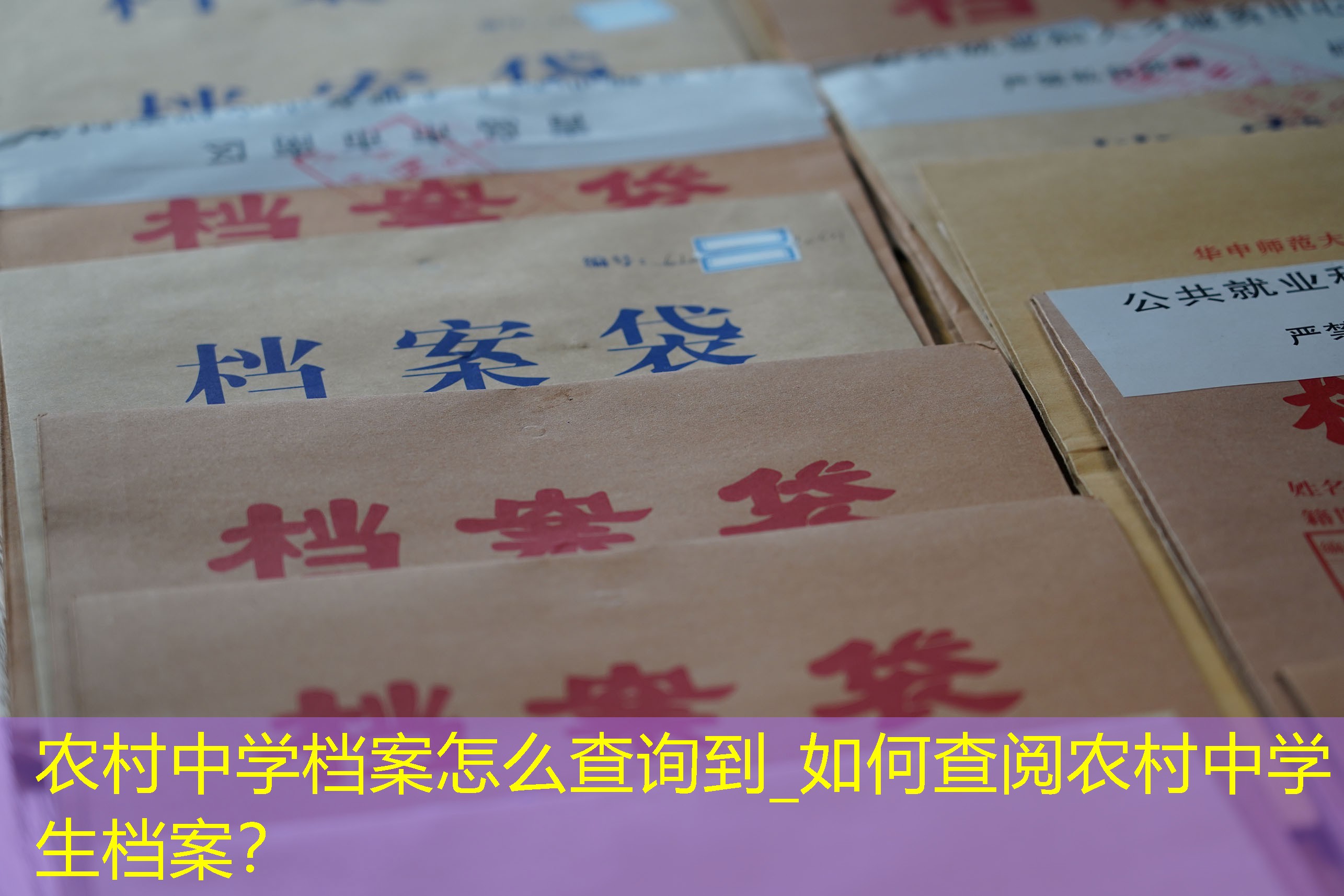 档案查询