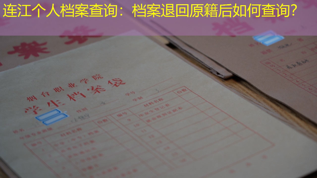档案查询