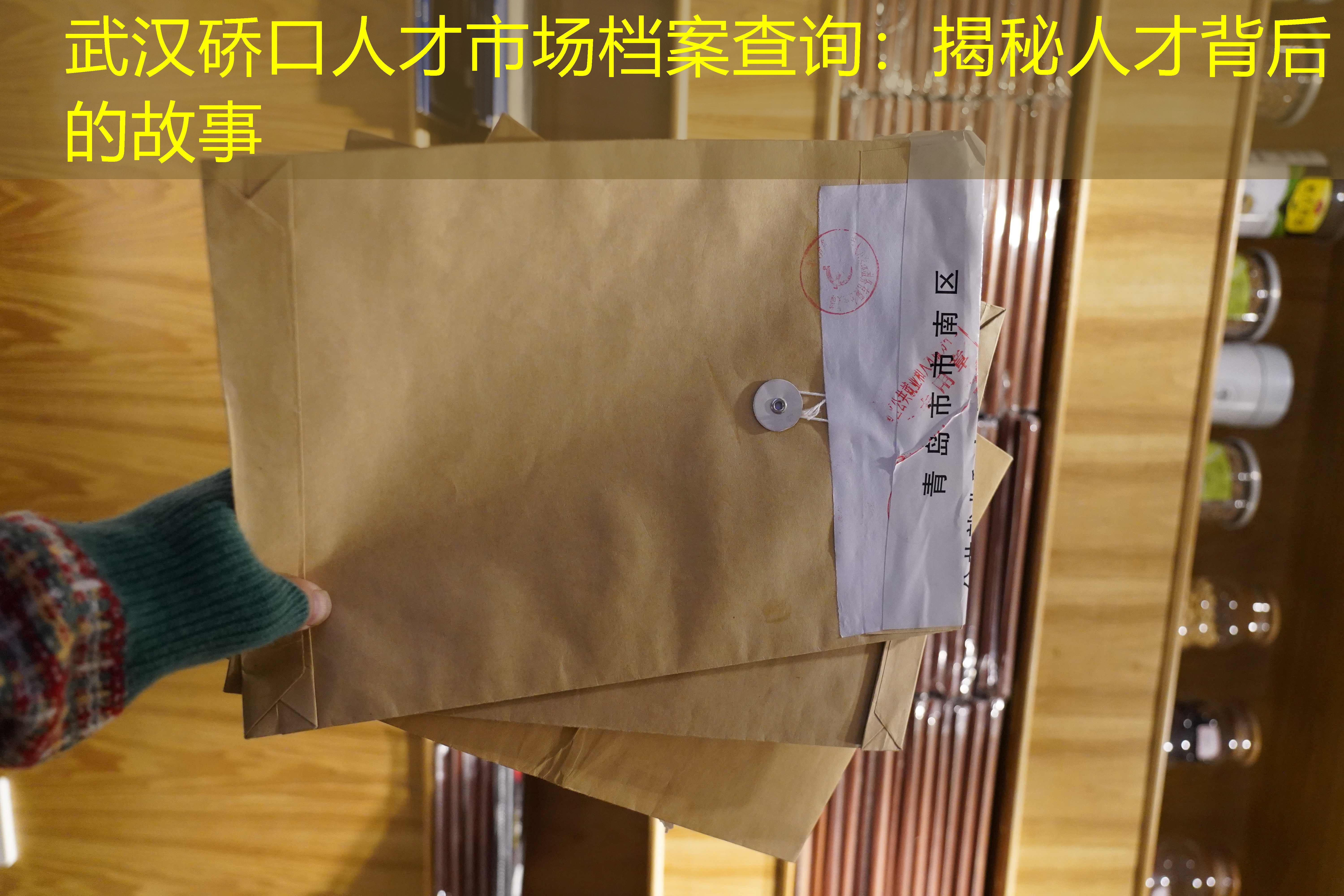 档案查询