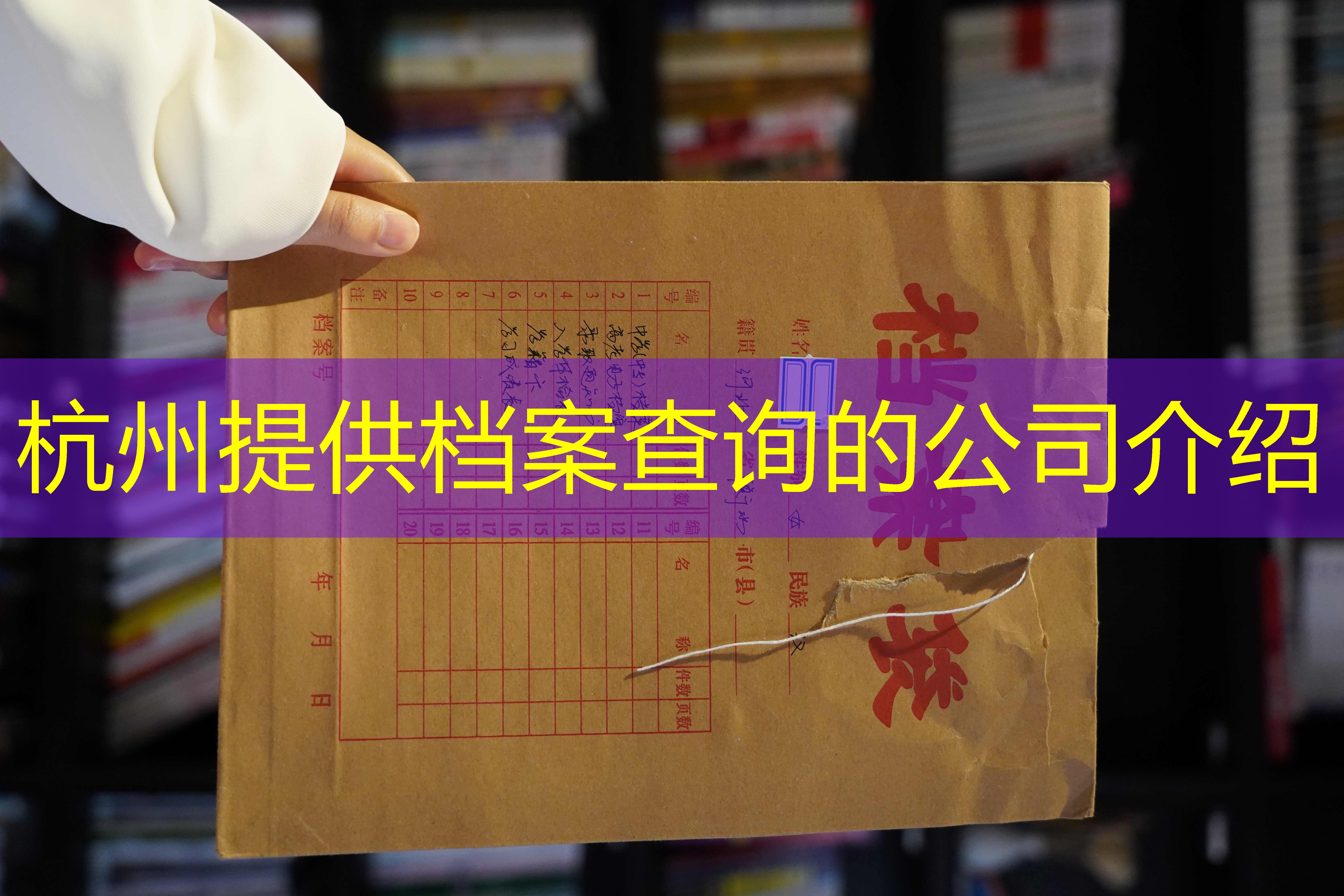 档案查询