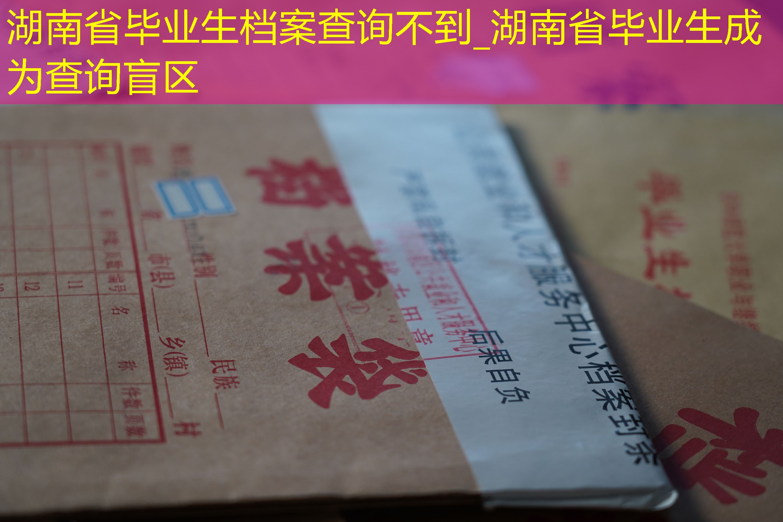 档案查询
