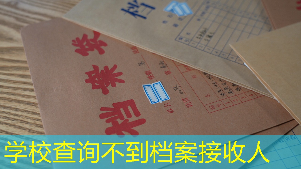 档案查询