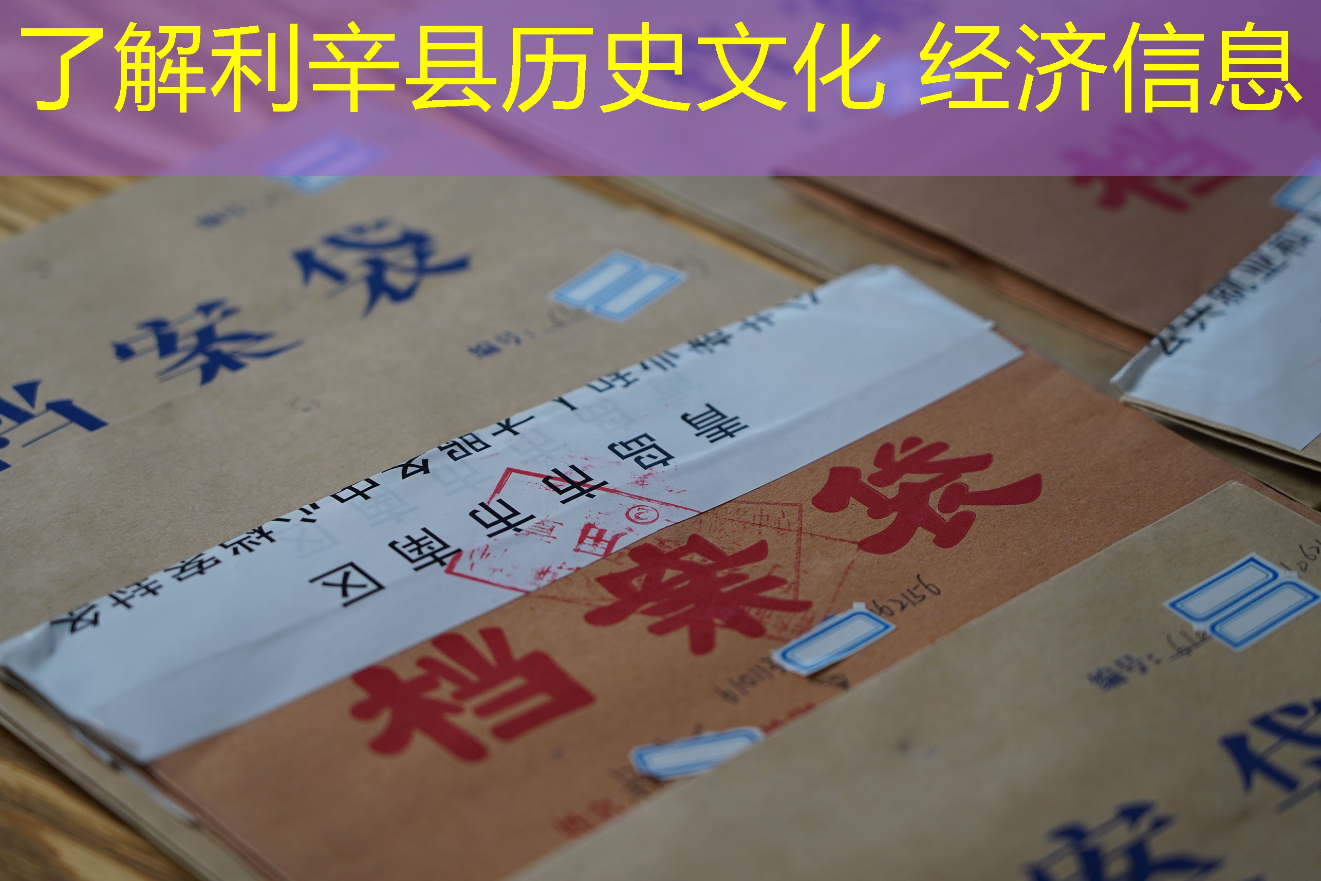 档案查询