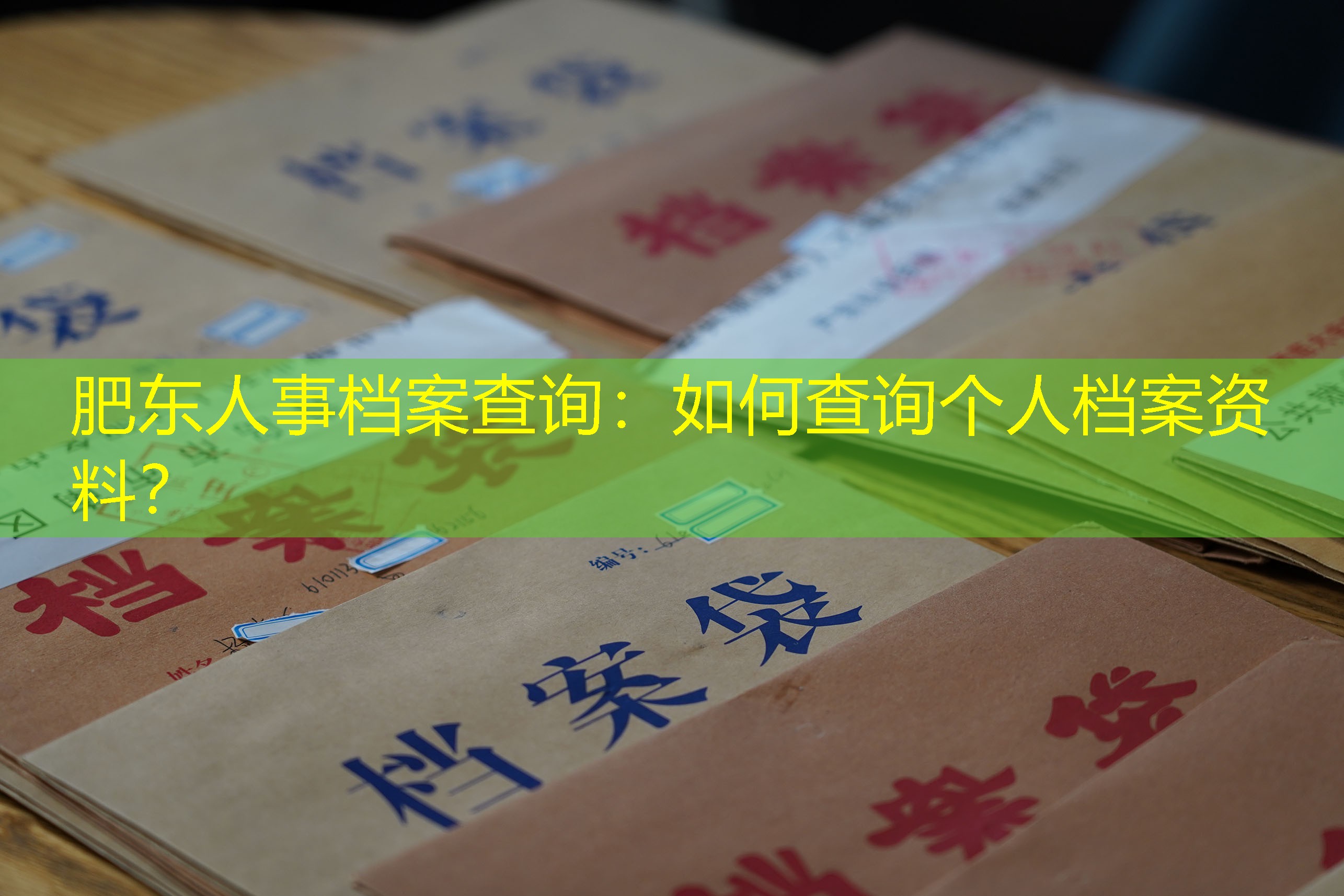 档案查询