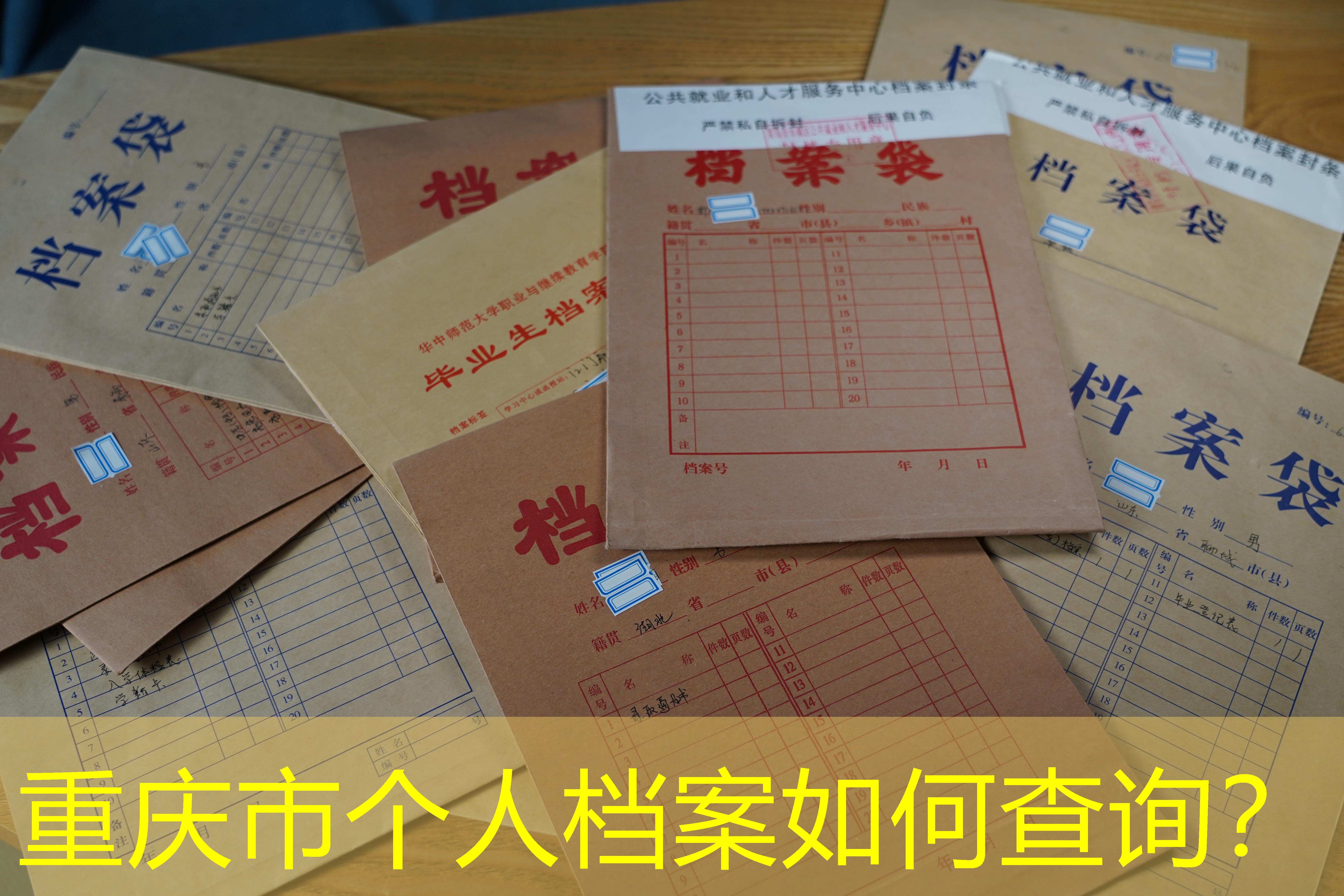 档案查询