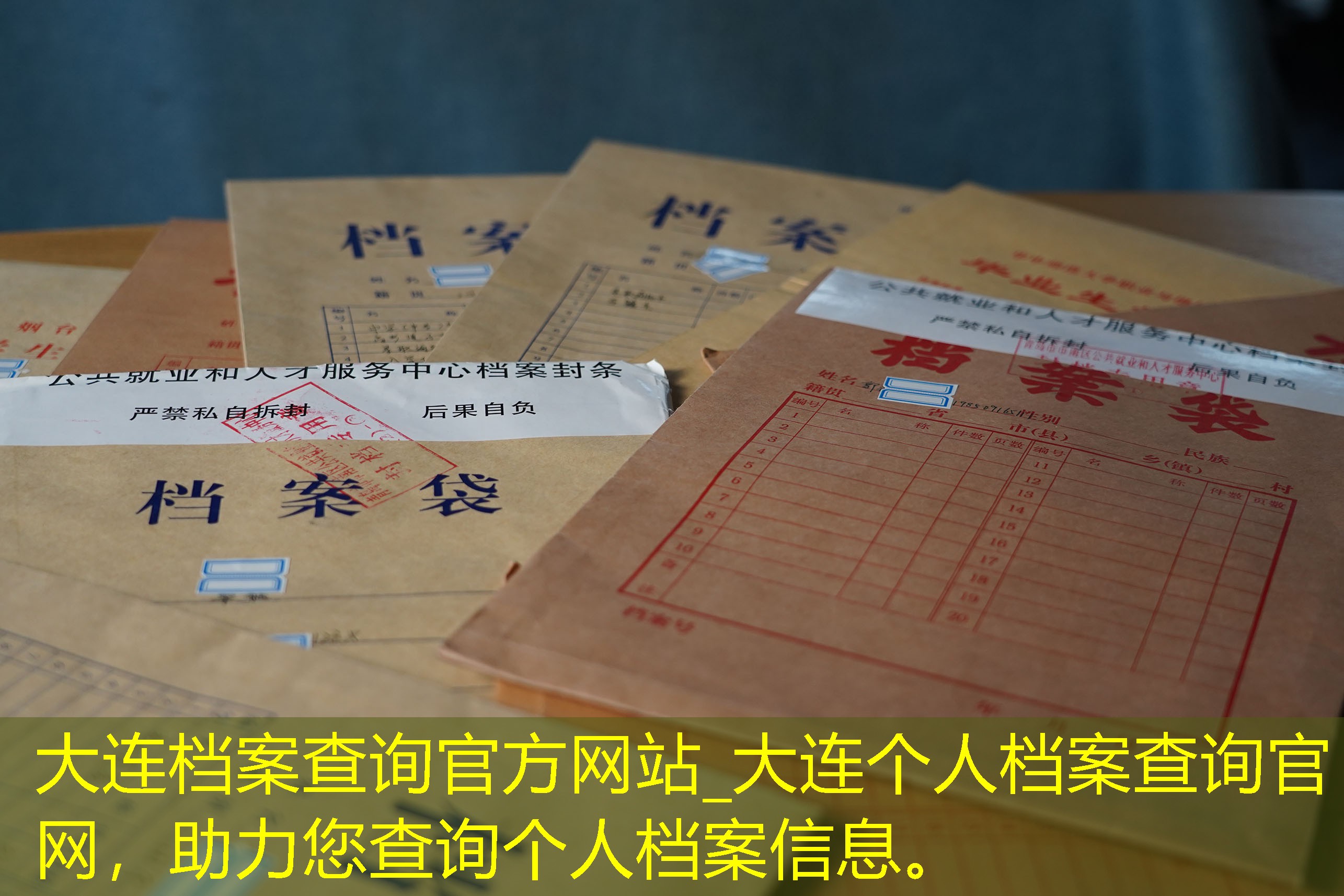 档案查询