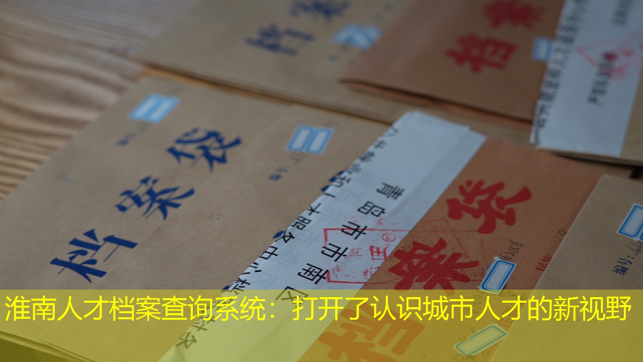 档案查询