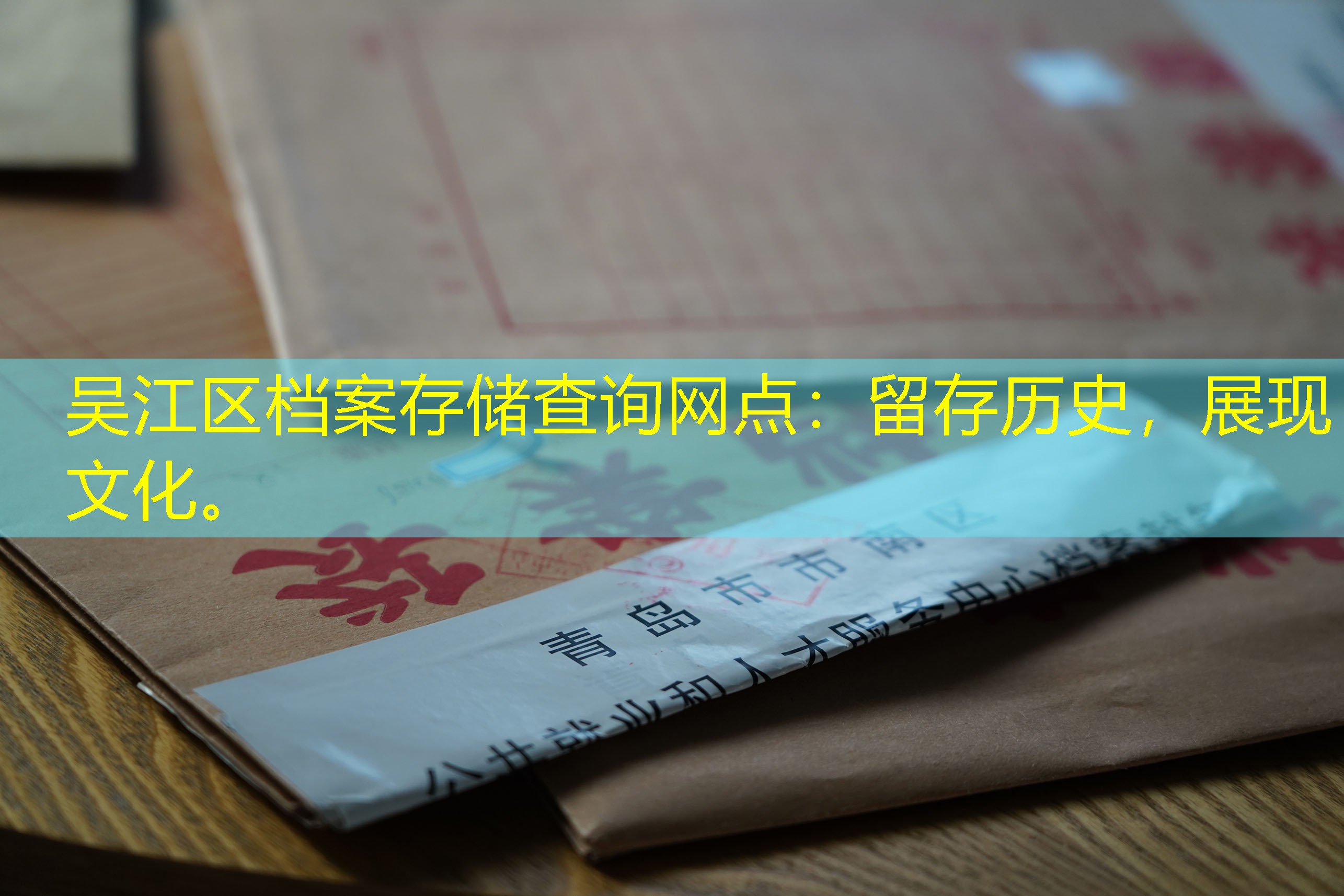 档案查询