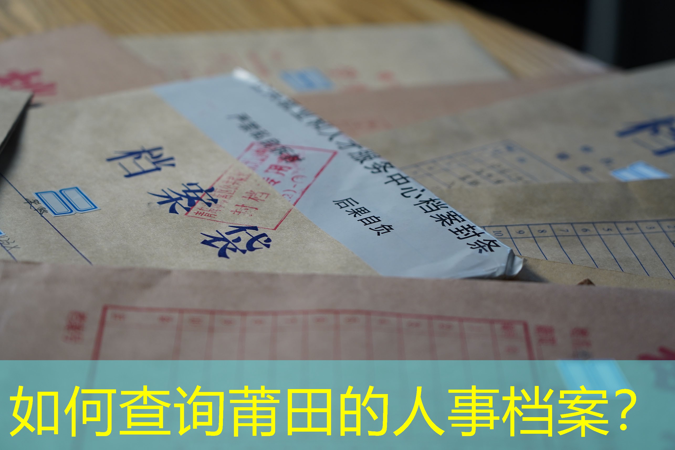 档案查询