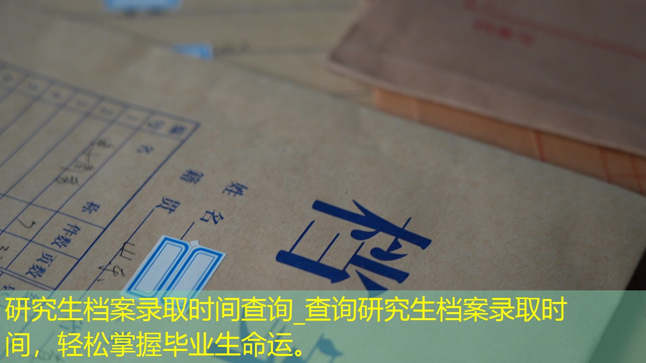 档案查询